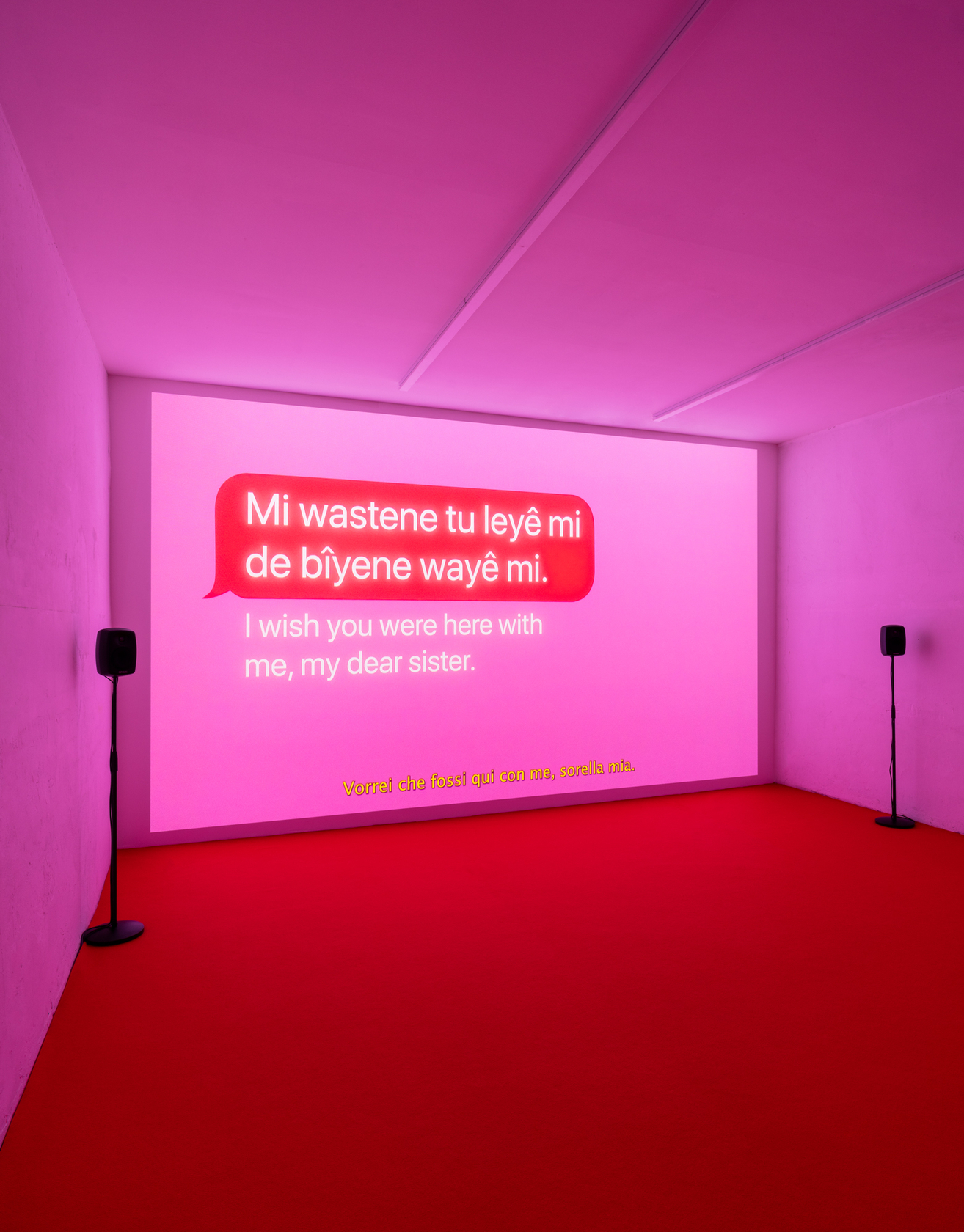 Exhibition view, Cemile Sahin, ROAD RUNNER, curated by Chiara Nuzzi. Photo &copy; Andrea Rossetti and Tiziano Ercoli