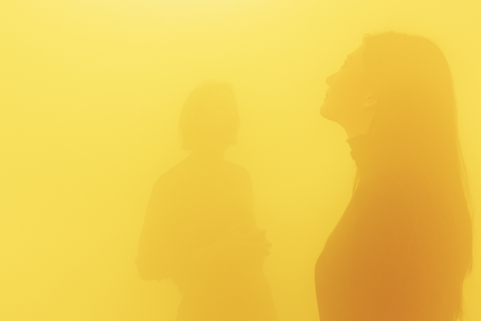 Green, Yellow and Pink, 2017 Artificial fog, green, yellow, and pink filters Dimensions variable © VG Bild-Kunst, Bonn, 2020 Photo...