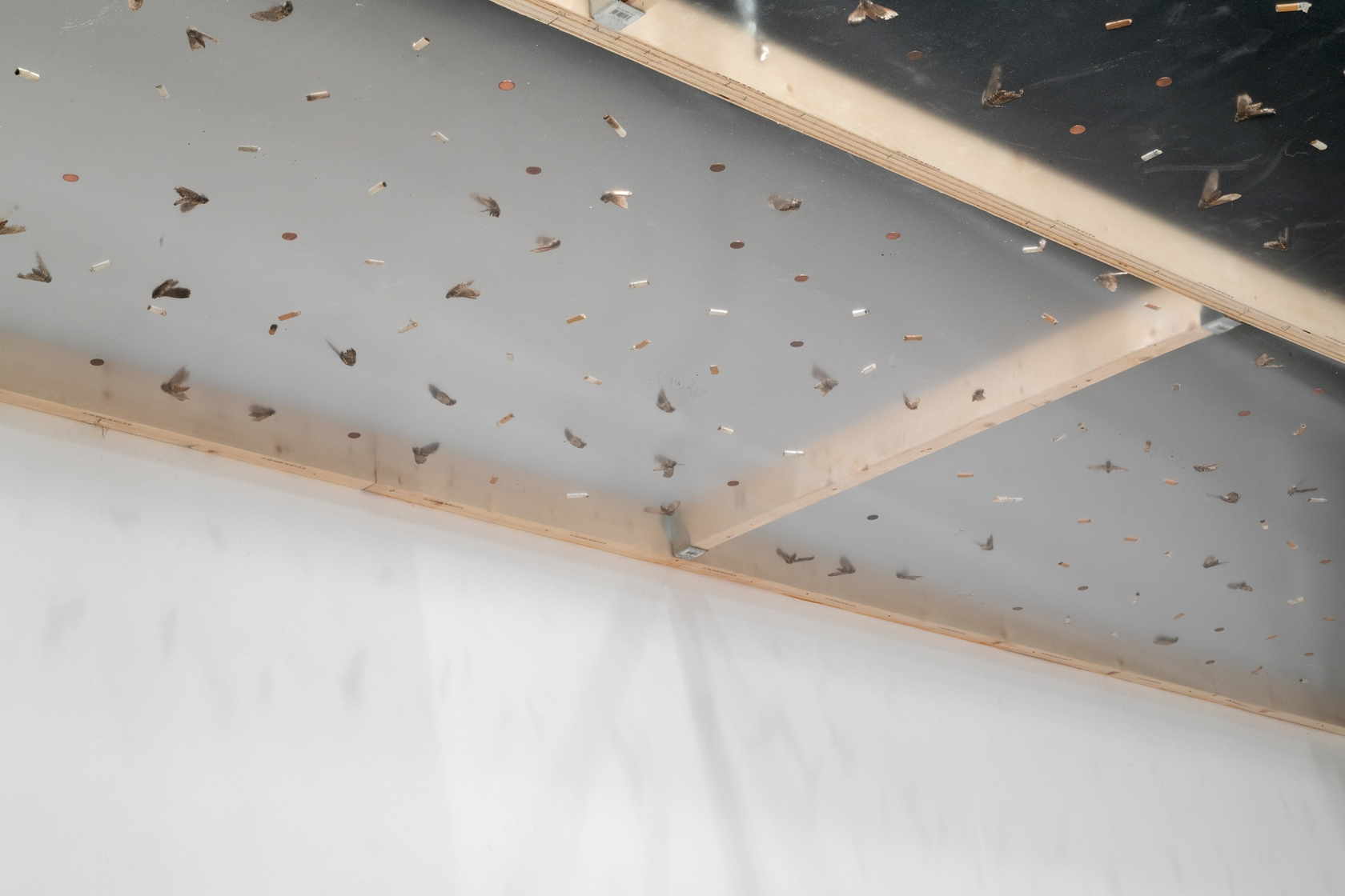 thermal optimization (spending static to save gas), 2018, (detail) Dropped ceiling, ductwork Photo © Jimmy Limit