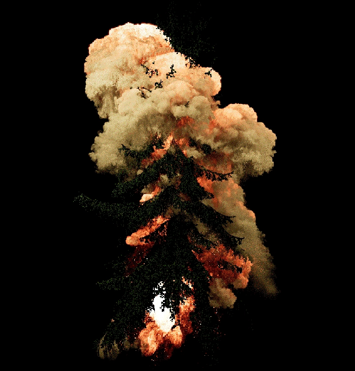 Wildfire (meditation on fire), productions screen shots, 2019-2020. Courtesy studio David Claerbout