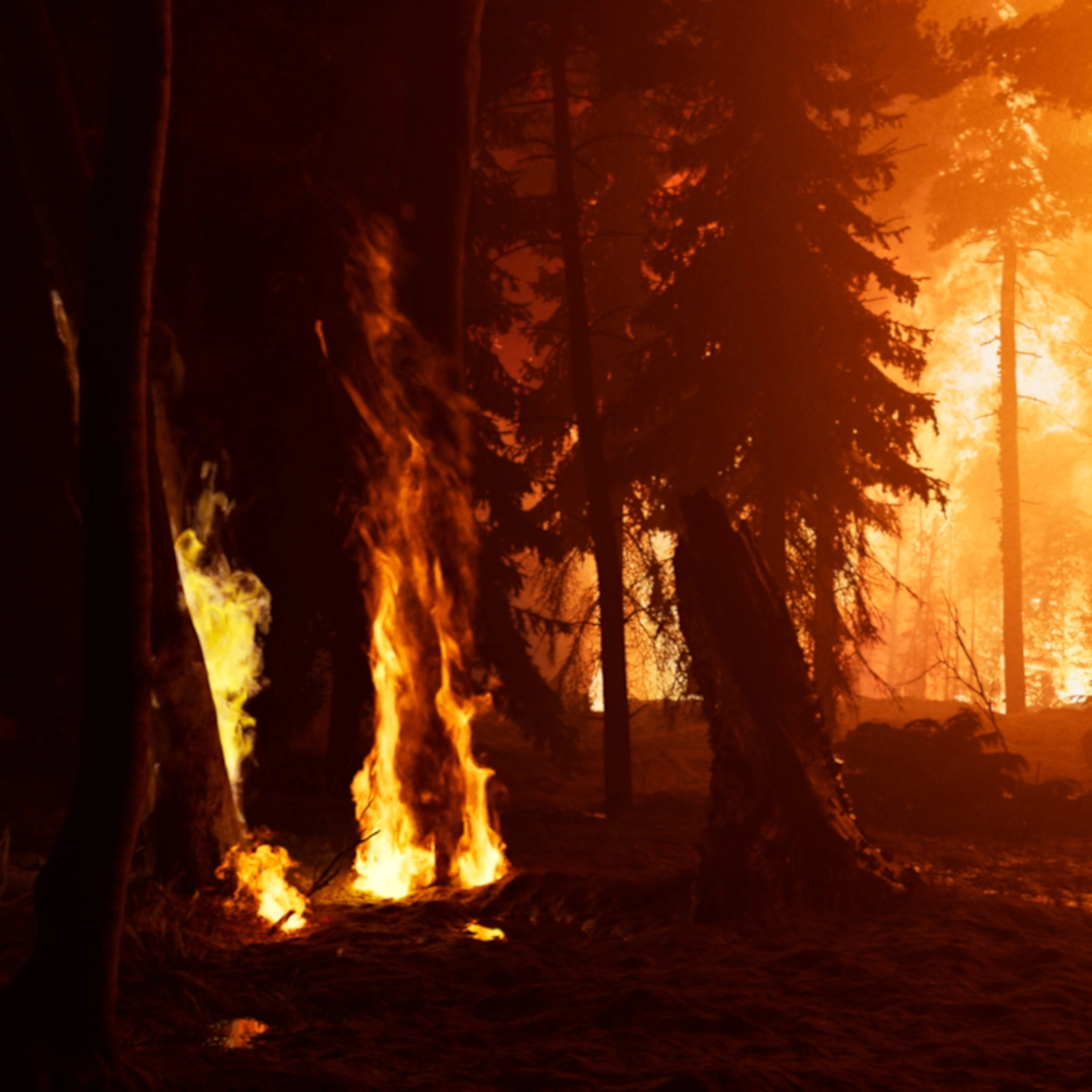 Video still: David Claerbout, Wildfire (meditation on fire), 2019-2020, single channel video projection, 3D animation (stereo audio, color), duration: 24...