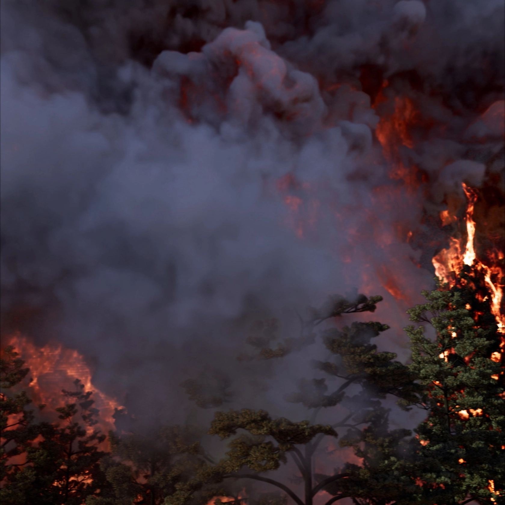 Video still: David Claerbout, Wildfire (meditation on fire), 2019-2020, single channel video projection, 3D animation (stereo audio, color), duration: 24...