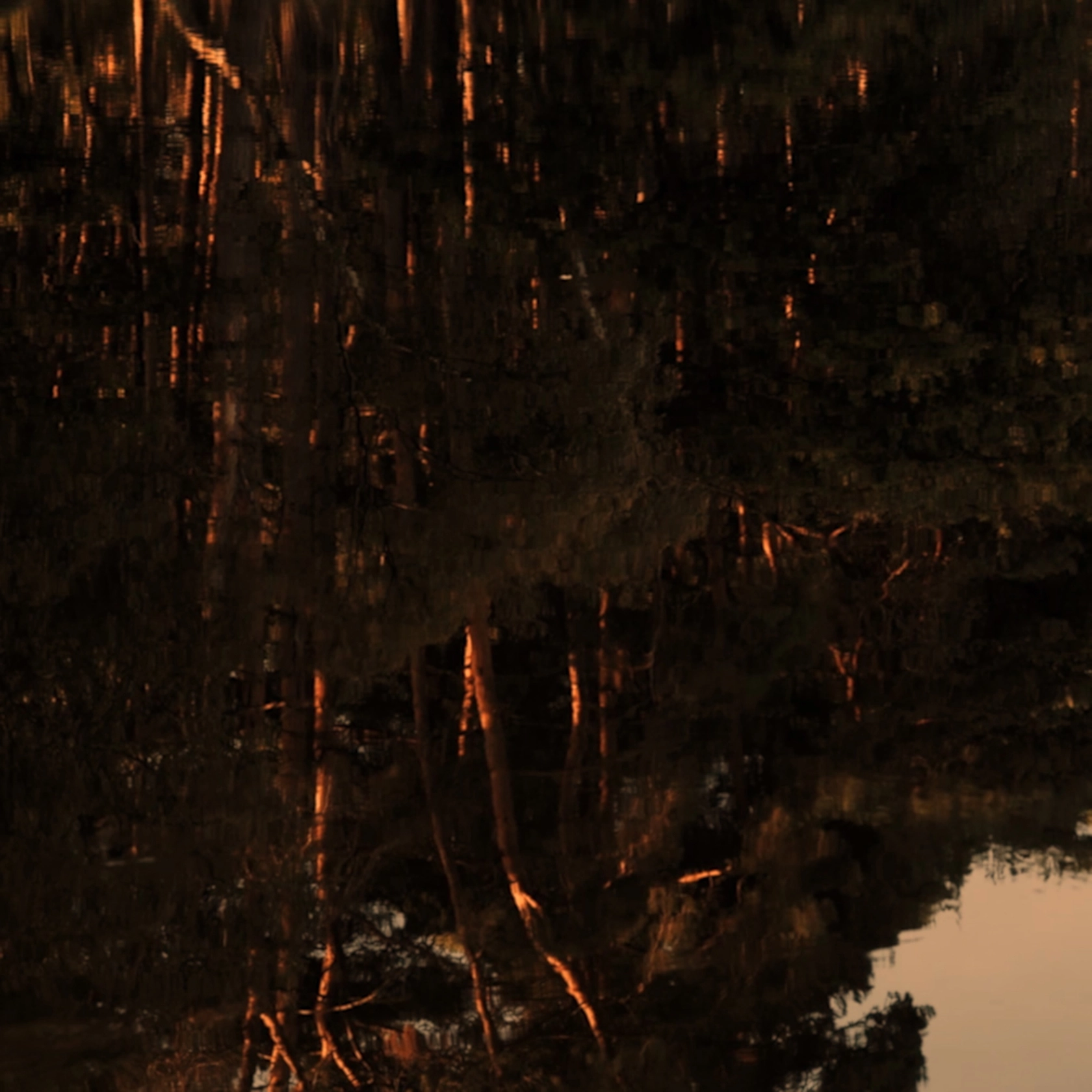 Video still: David Claerbout, Wildfire (meditation on fire), 2019-2020, single channel video projection, 3D animation (stereo audio, color), duration: 24...