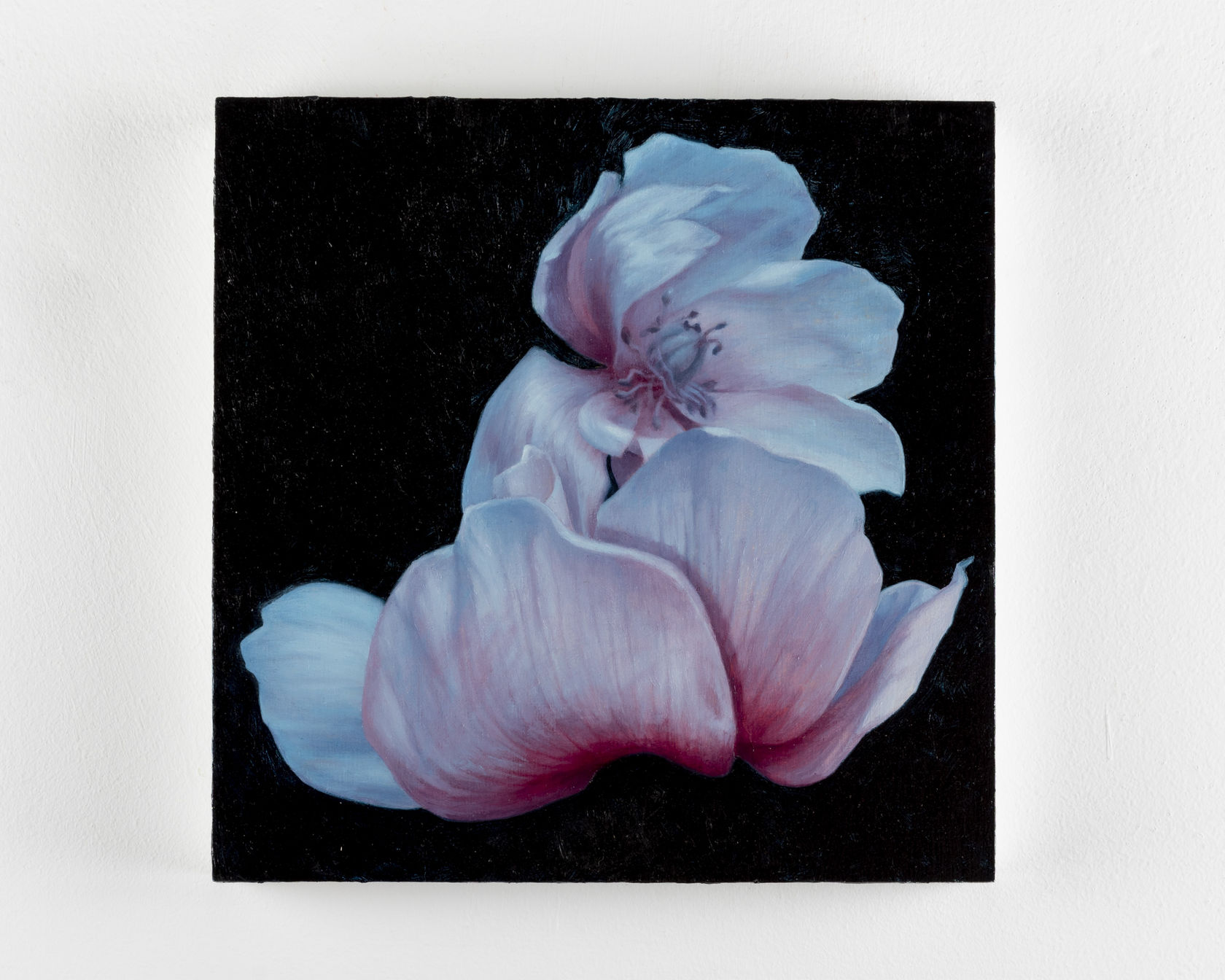 Aleah Chapin Blossom #2, 2020