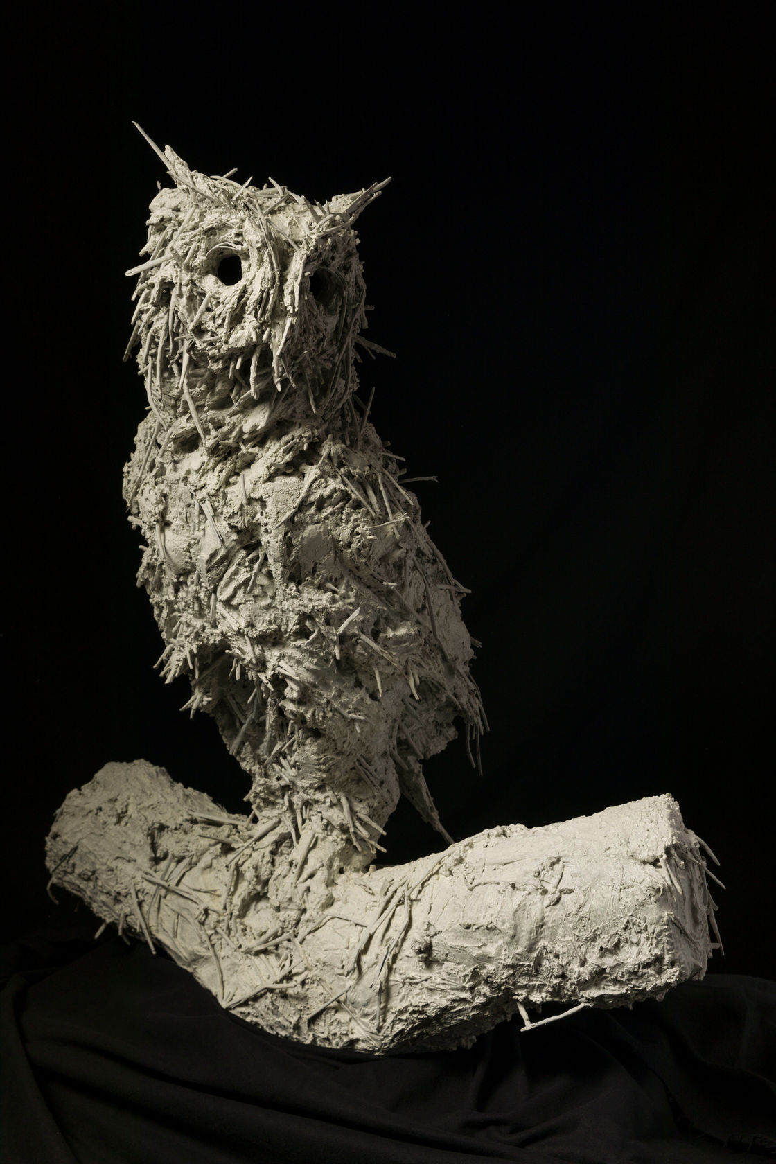 Nicola Hicks, Owl, 2022