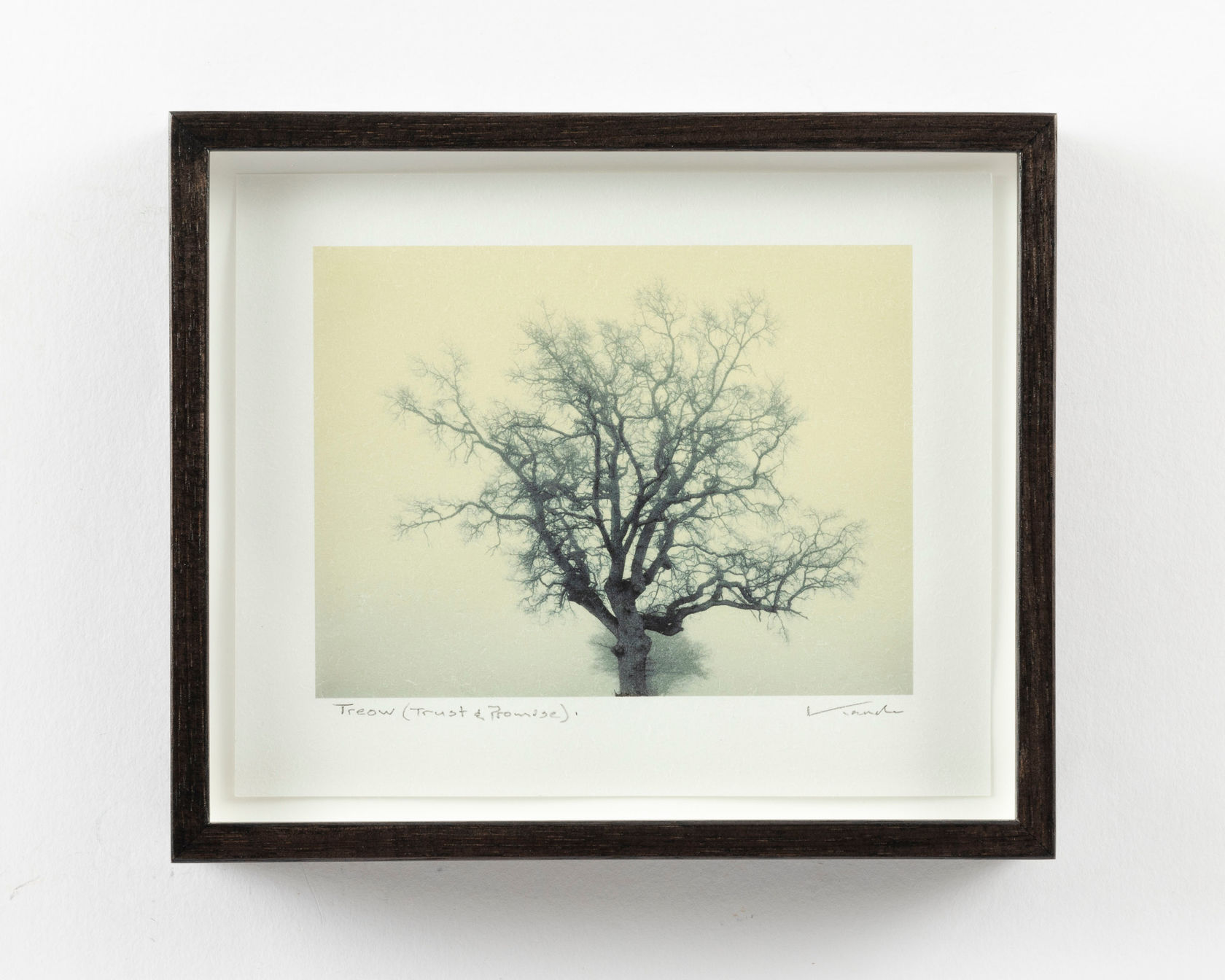 Nadav Kander Treow V (Trust and Promise), Wales, 2021