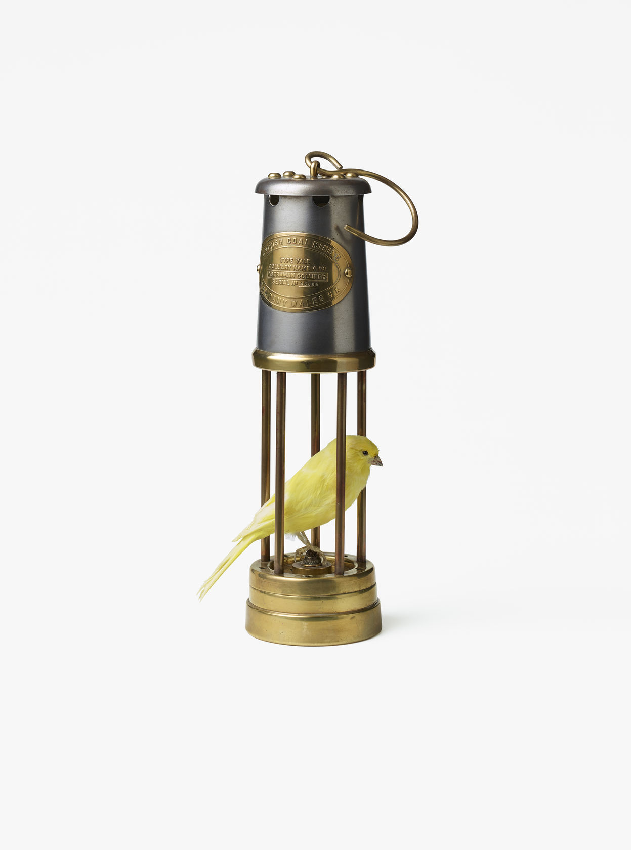 Nancy Fouts Miners Lamp 1