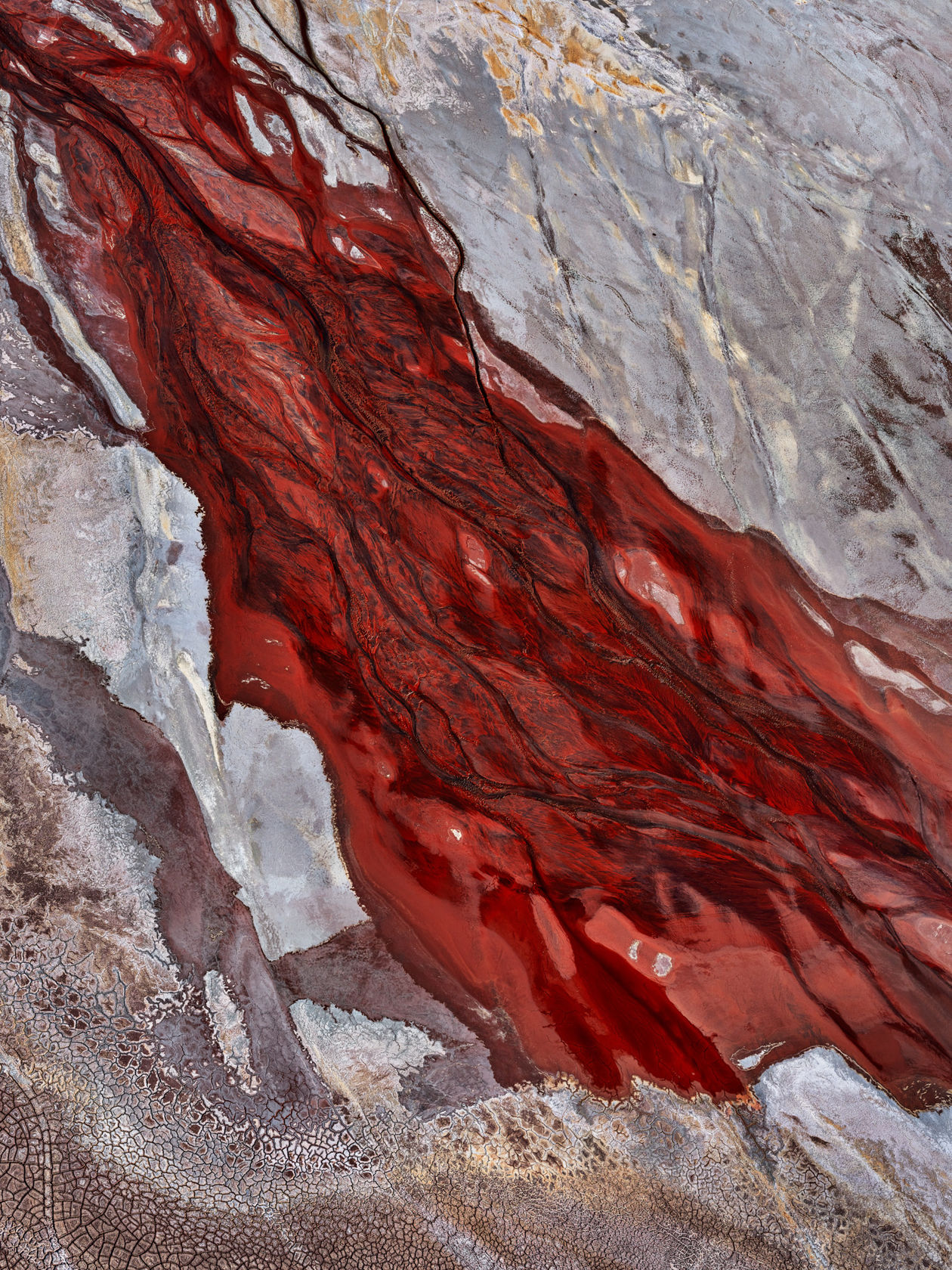 Edward Burtynsky, Murrin Murrin Tailings Pond #2, Murrin Murrin Mine, WA, Australia, 2025