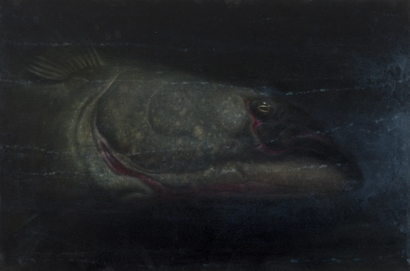 Ken Currie Study (Halibut head), 2025