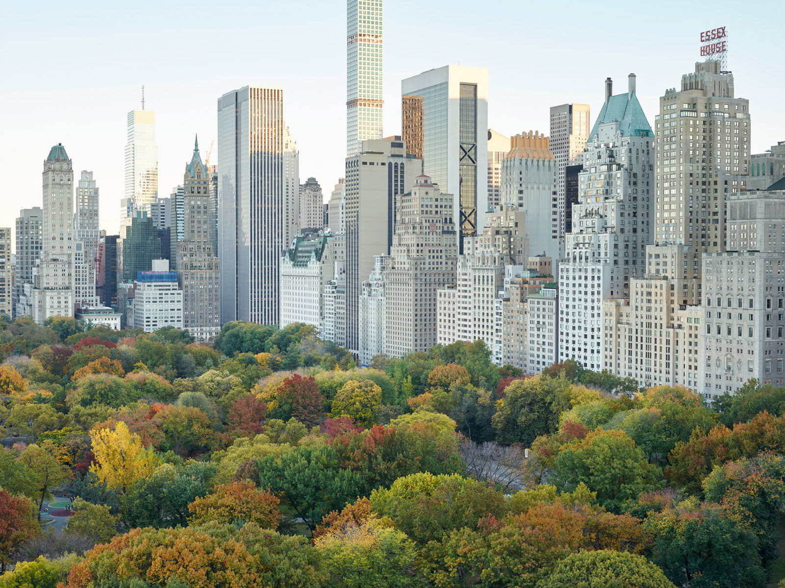 Simon Roberts Central Park, New York, USA, 2015 (opened 1857)