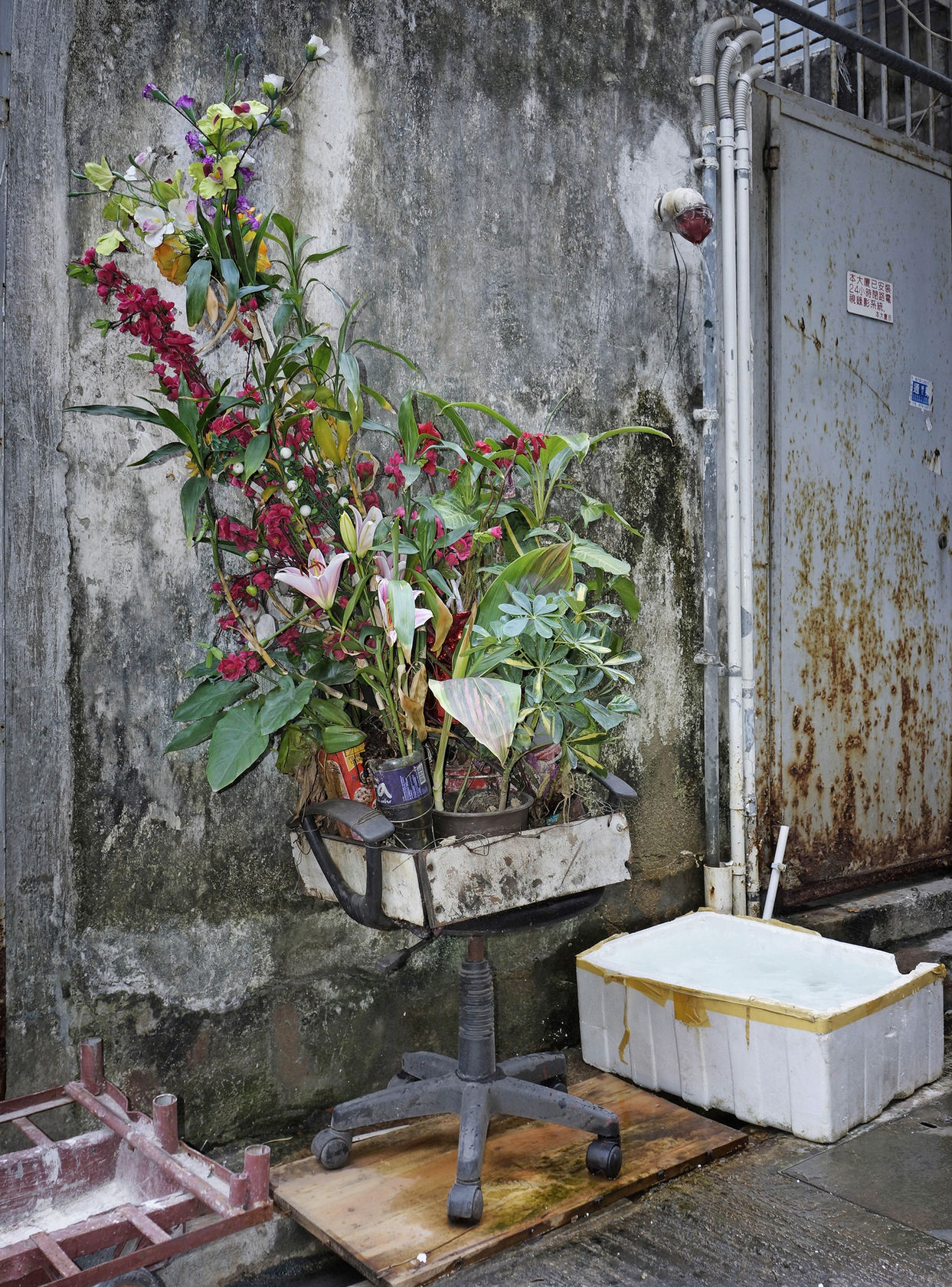 Michael Wolf Hong Kong Flora