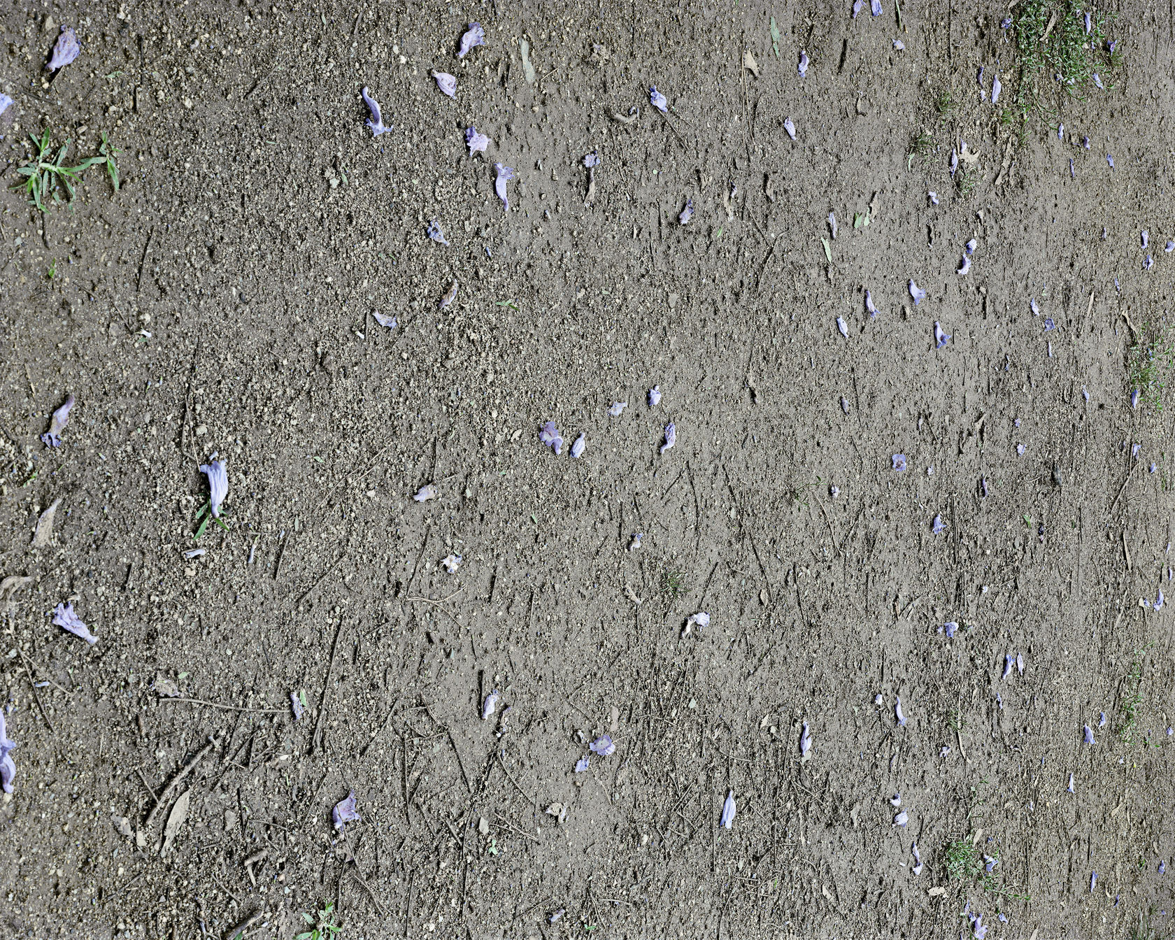 Janelle Lynch Ground 5 (Barcelona), 2011