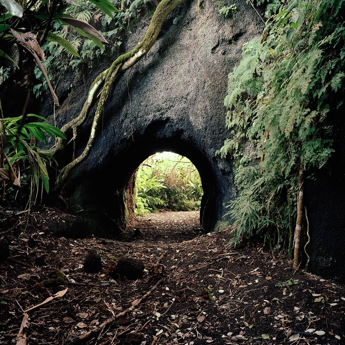 Jason Larkin, Ascension #15, 2011