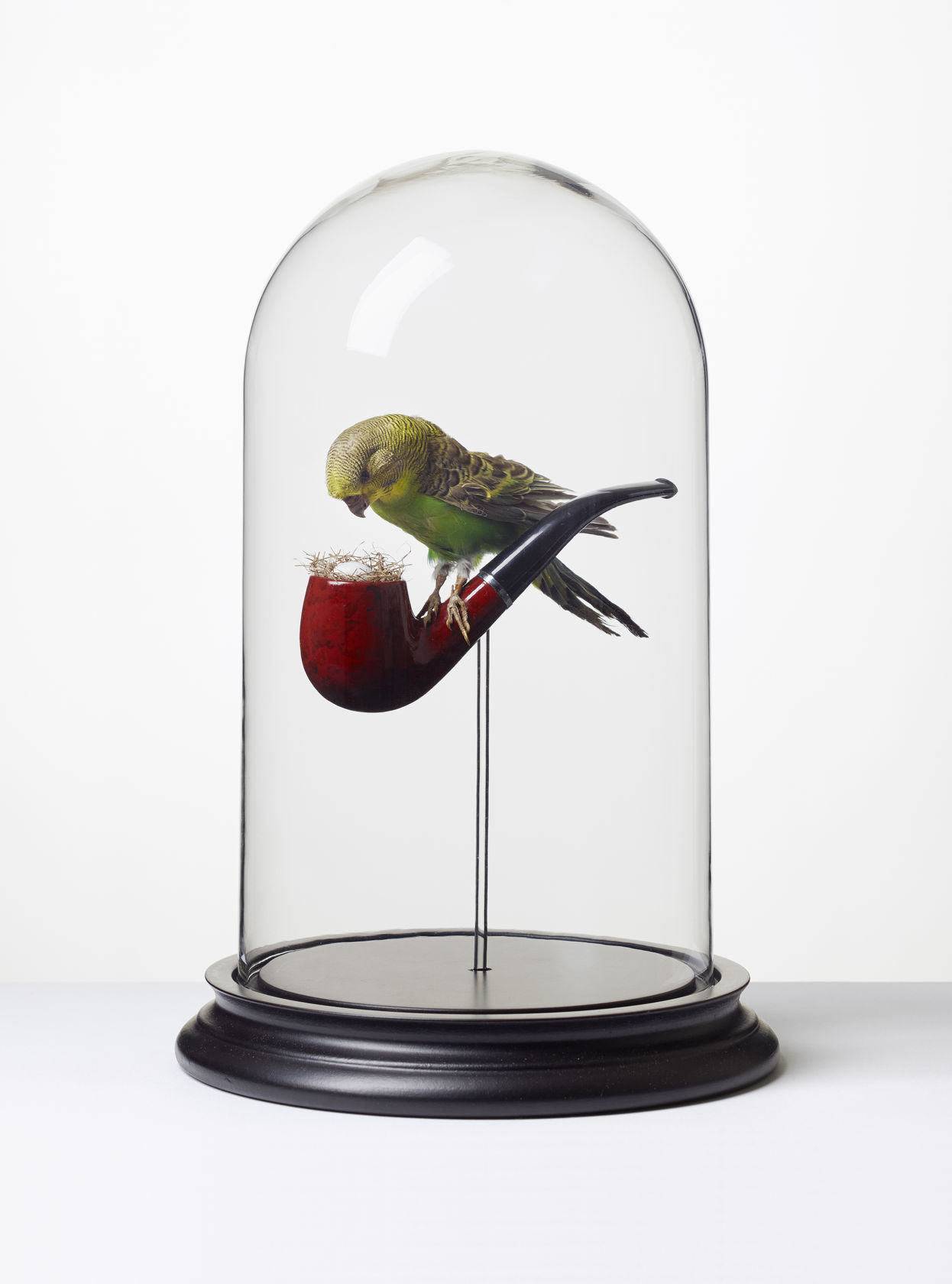 Nancy Fouts Pipe Nest , 2014