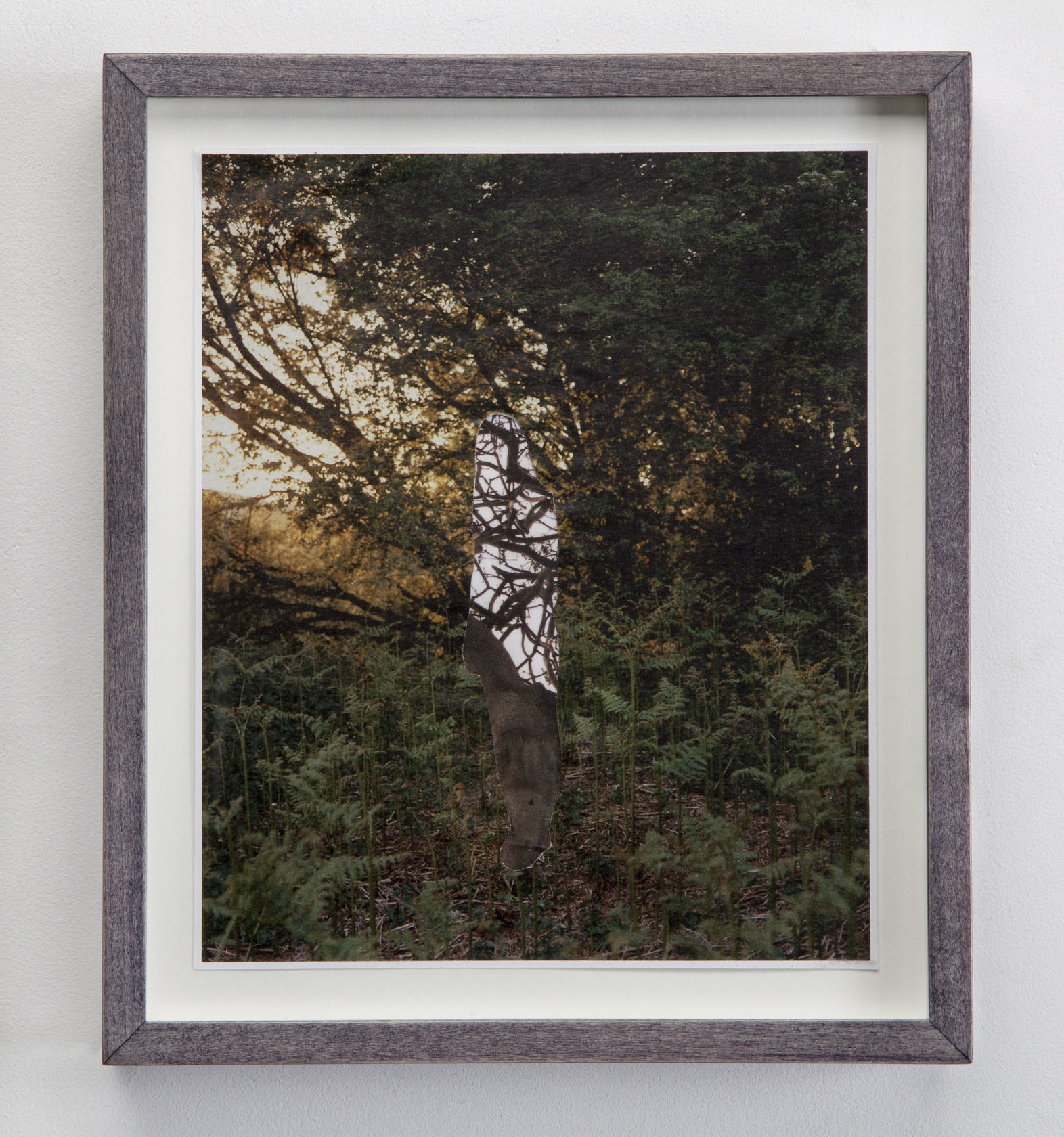 Lynn Dennison Diana, 2015