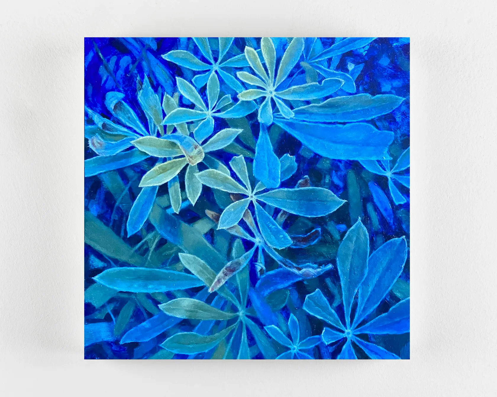 Aleah Chapin Lupine, 2023