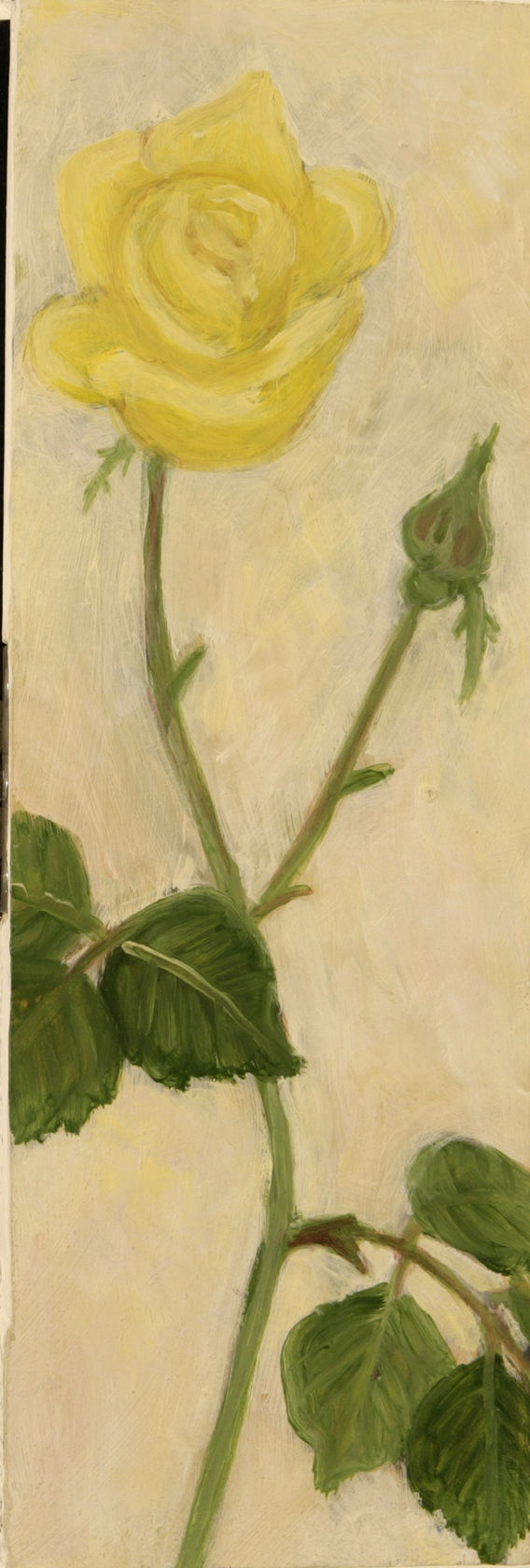 Jiro Osuga Rose, 2005