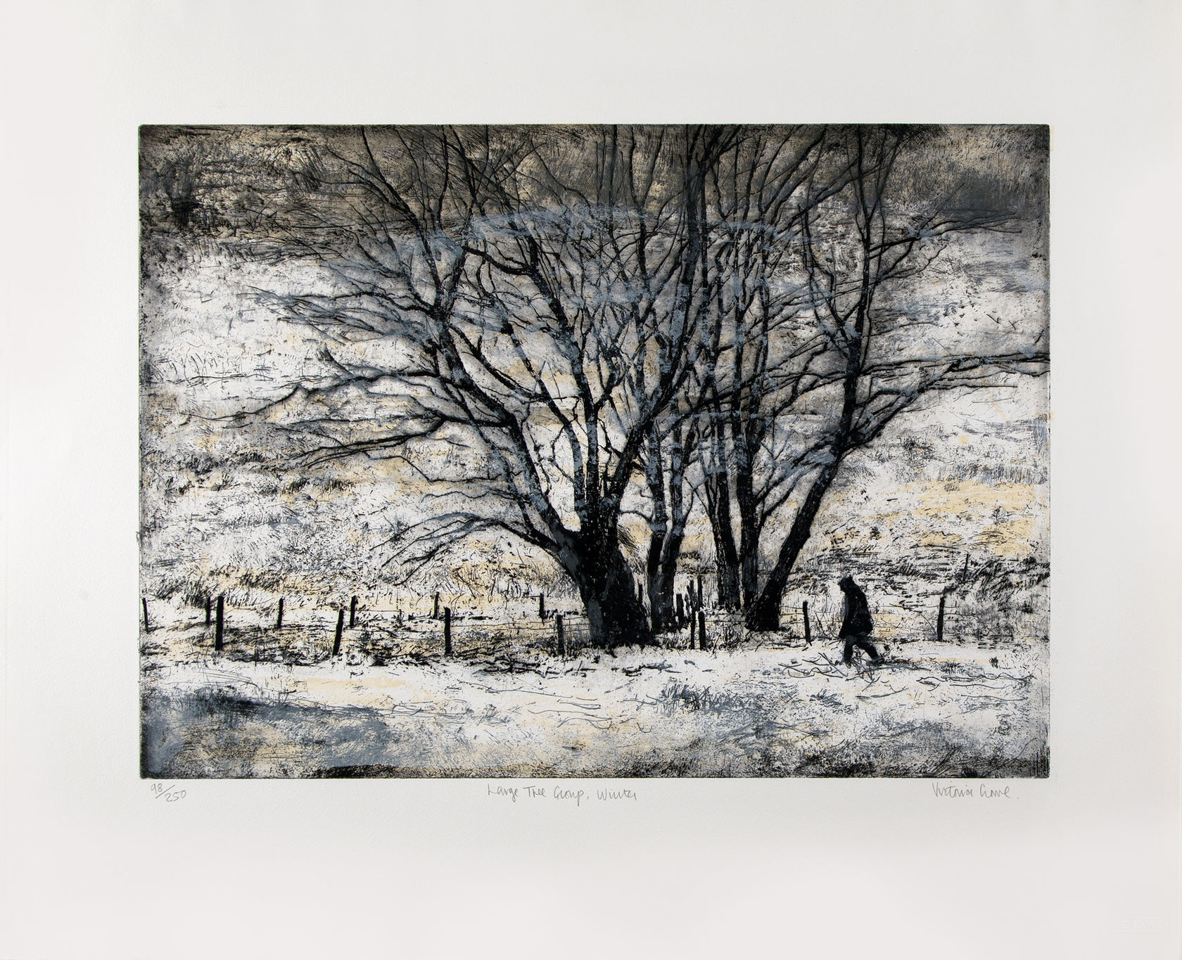 Victoria Crowe, Large Tree Group, Winter, 2014
