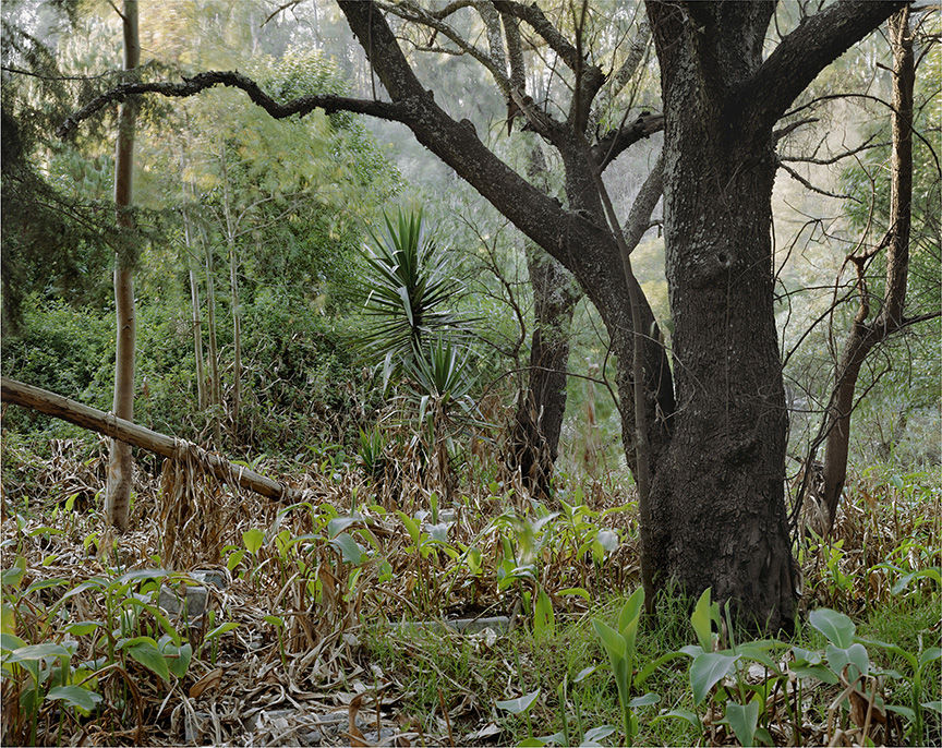 Janelle Lynch Untitled 1 (La Fosa Común), 2007