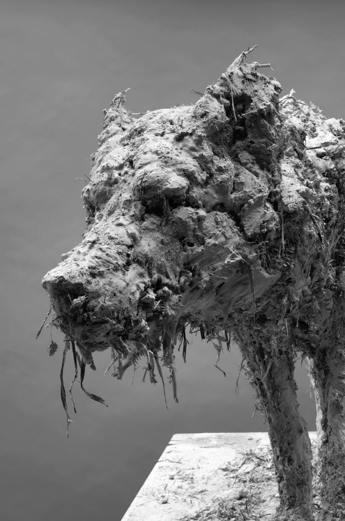 Nicola Hicks Grey, 2012