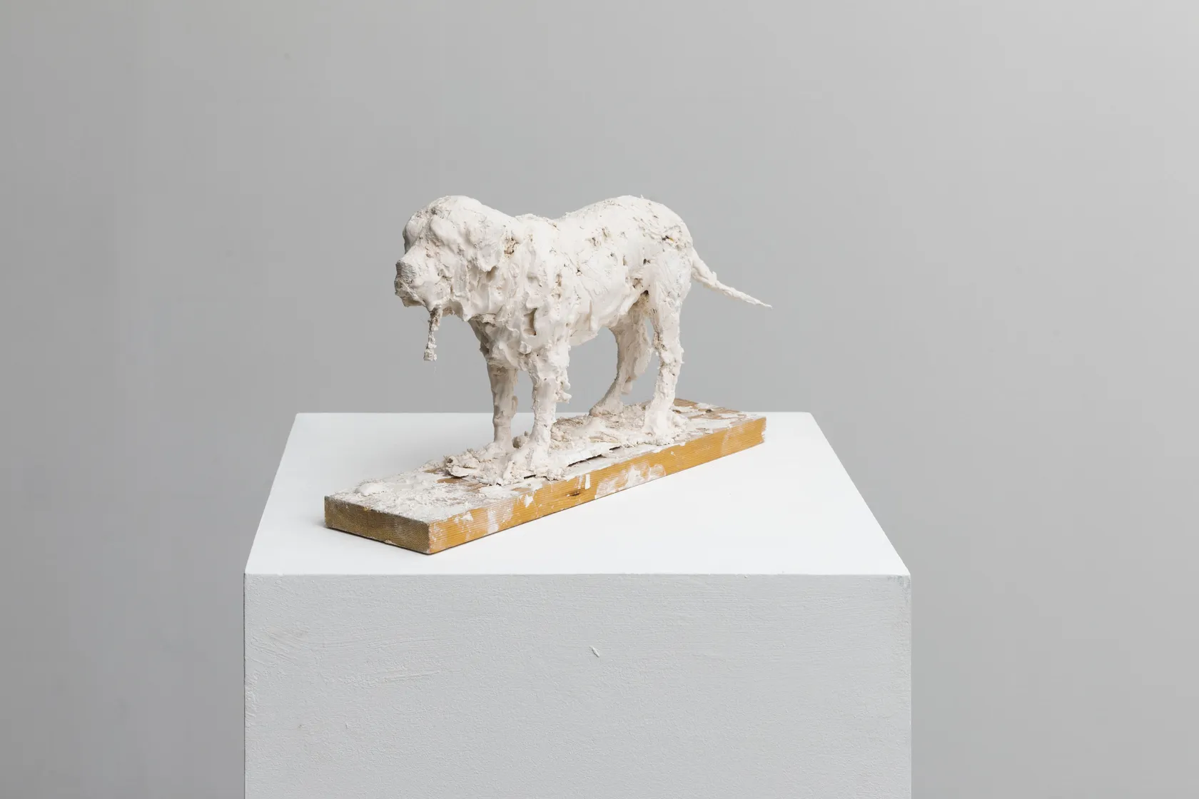 Nicola Hicks Plato 1, 2019