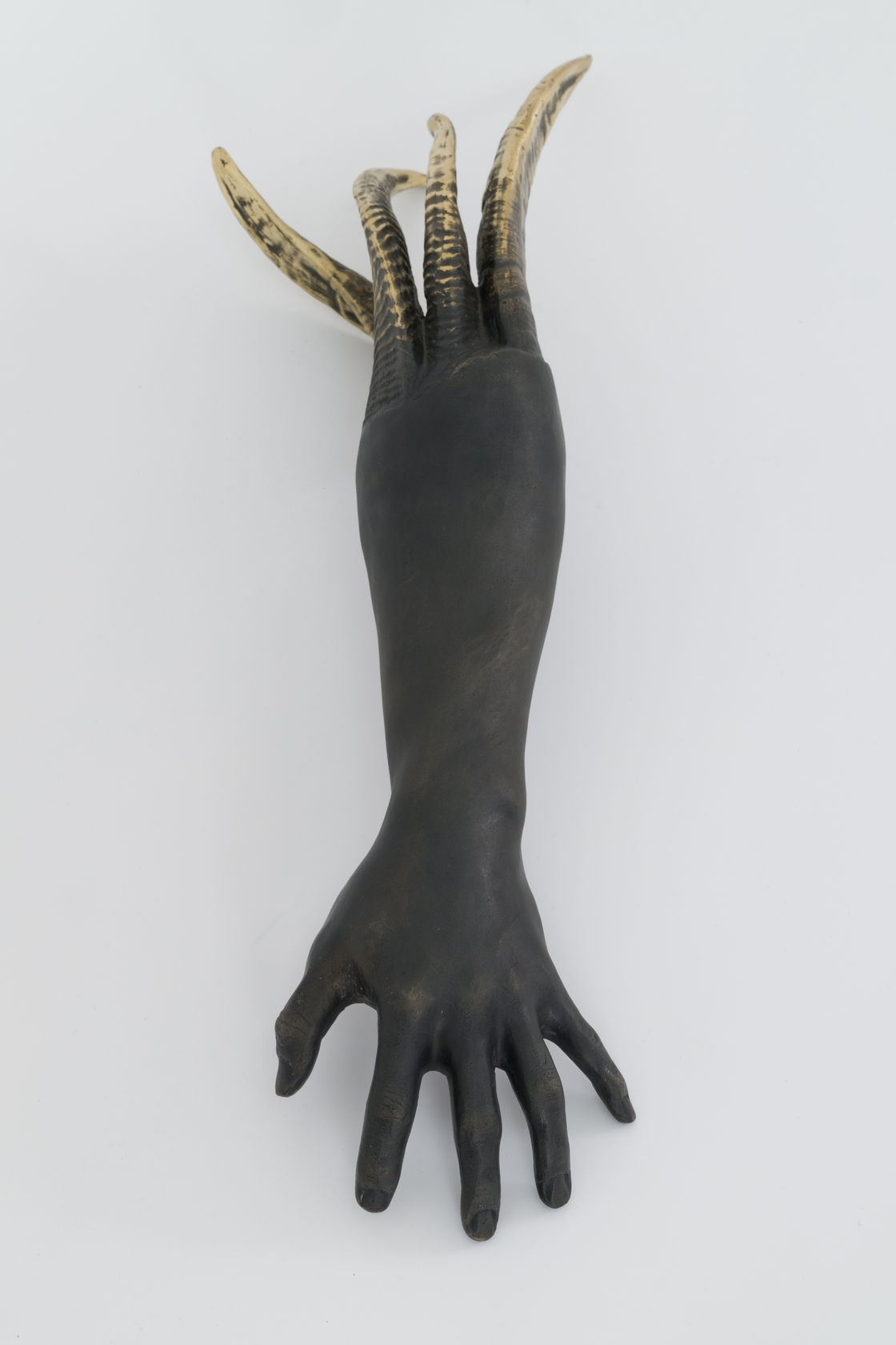 Jantsankhorol Erdenebayar, Reinvigoration iii, 2024