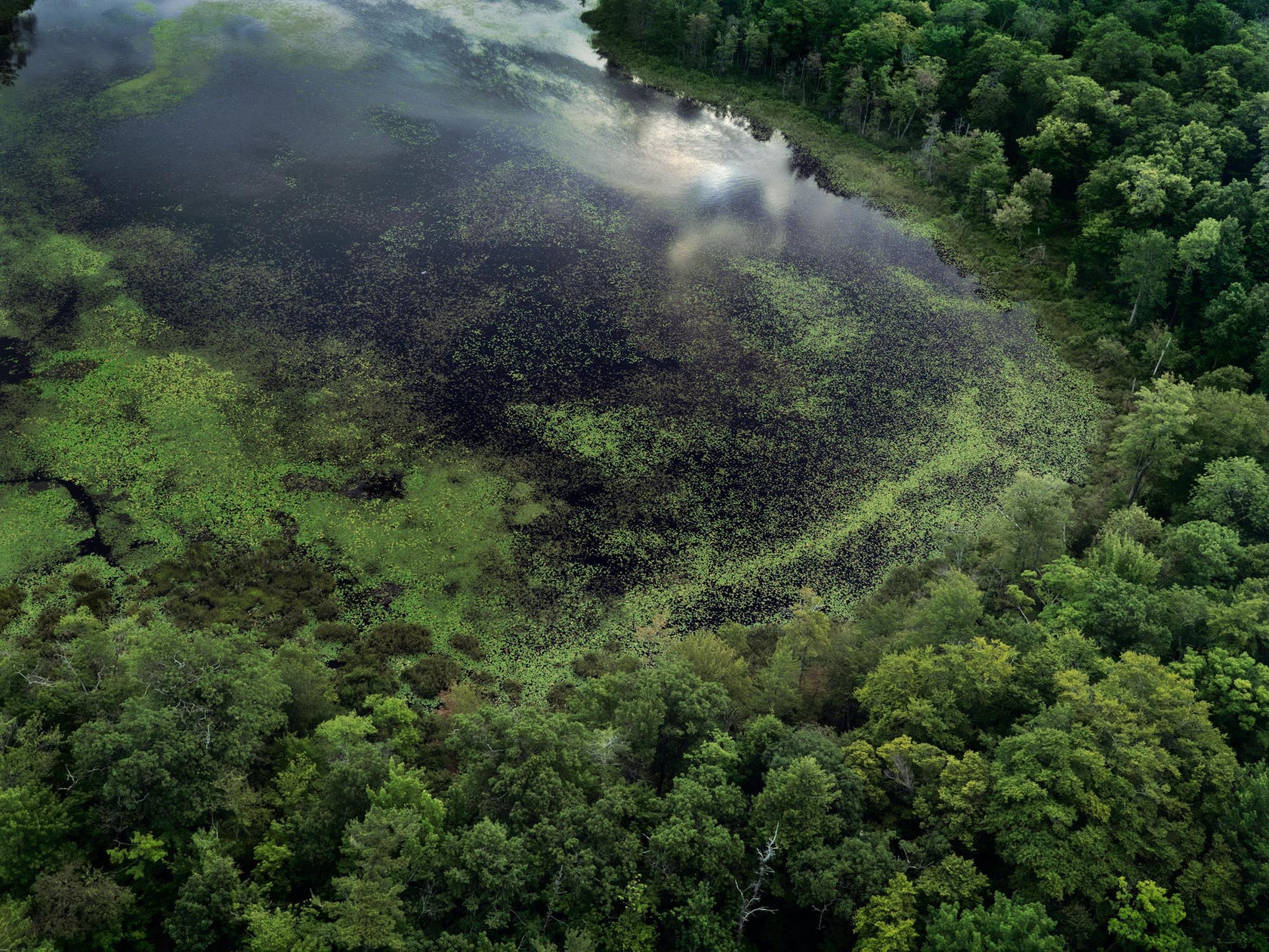 Edward Burtynsky Georgian Bay #2 Eastern Shore, Ontario, Canada , 2009