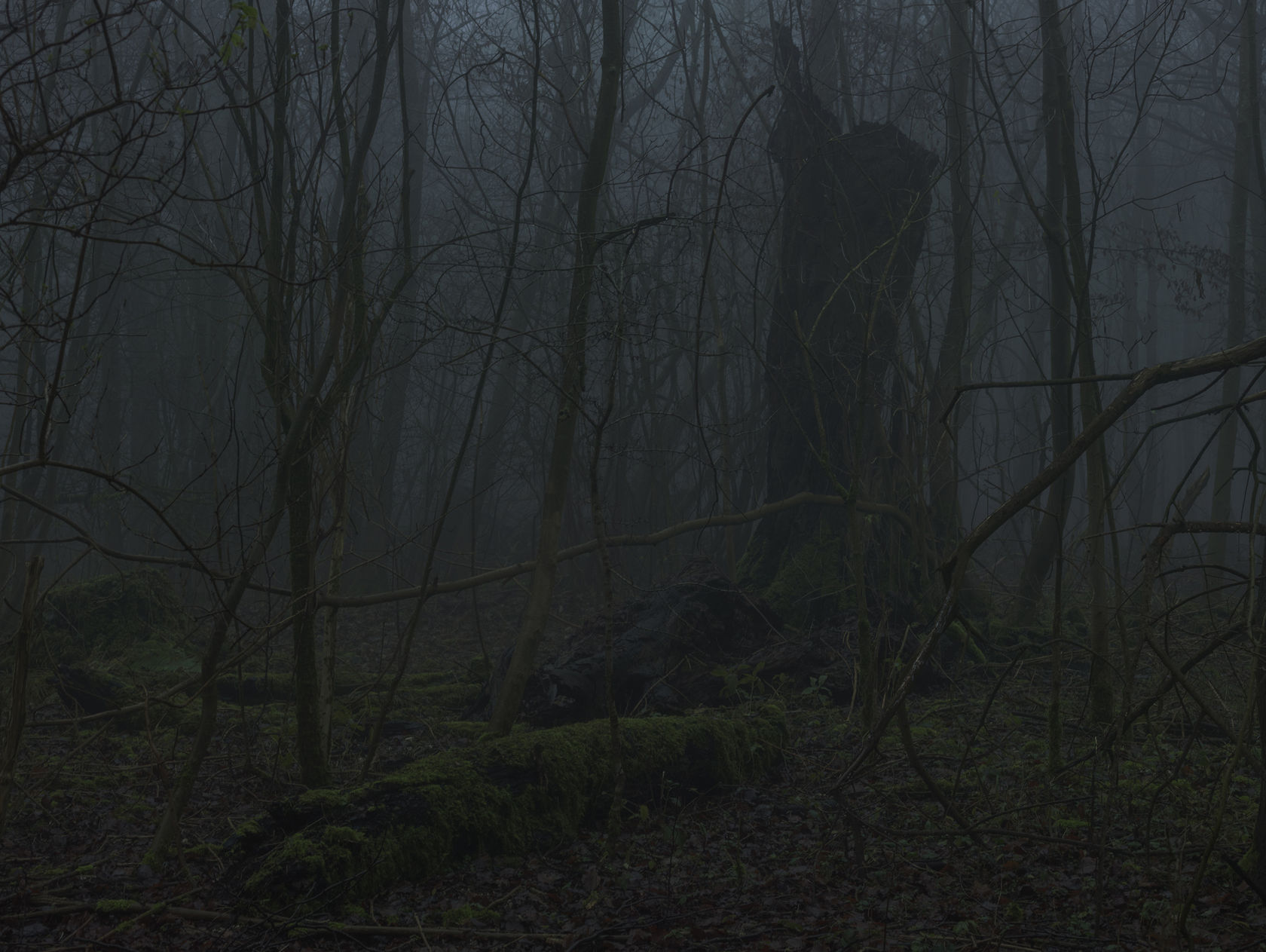 Simon Roberts, Untitled #2, The Weeds and the Wilderness, 2018