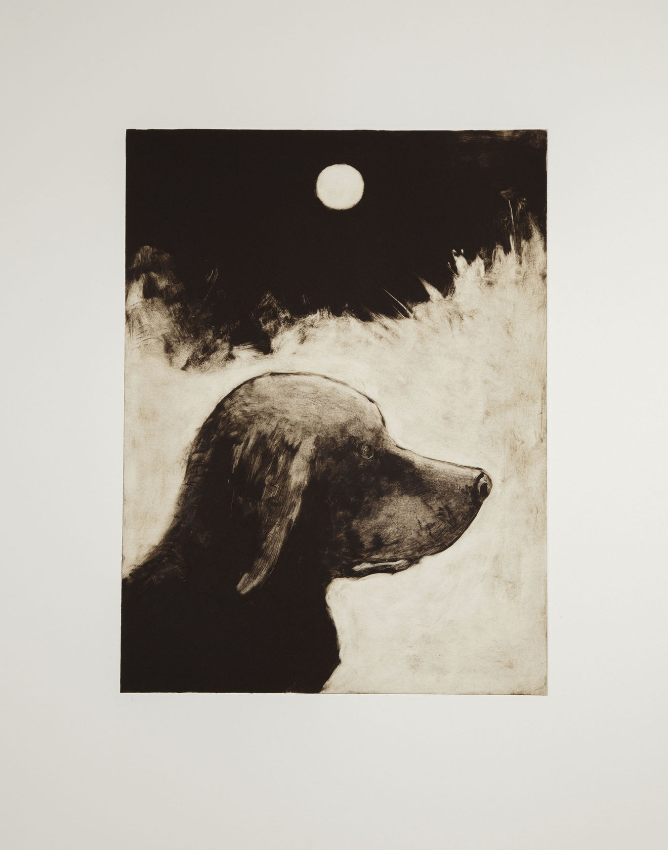 John Kirby Dog, 2016