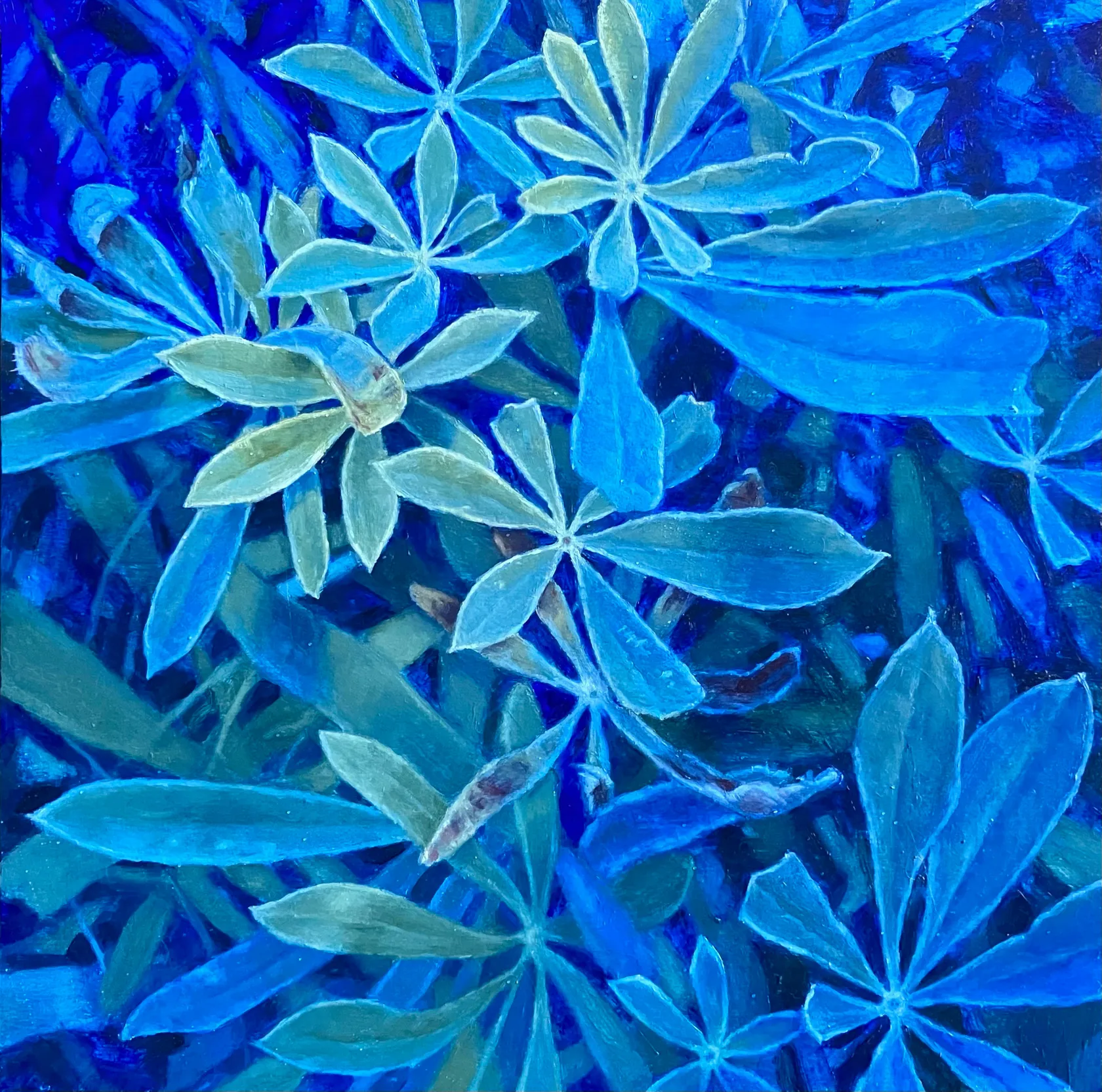 Aleah Chapin Lupine, 2023