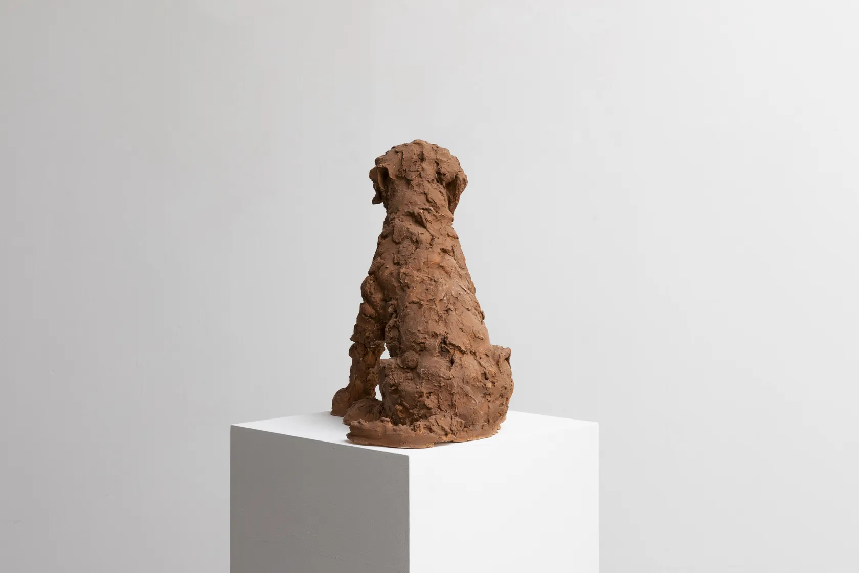 Nicola Hicks Puppy, 2021