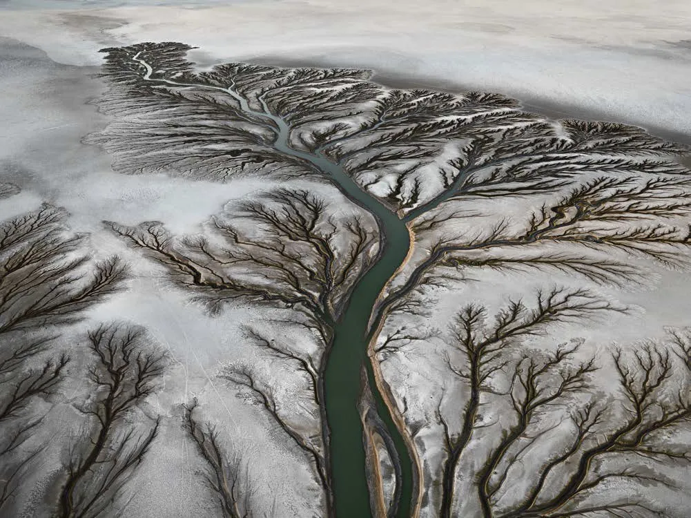 Edward Burtynsky, Colorado River Delta #2, Near San Felipe Baja, Mexico, 2011