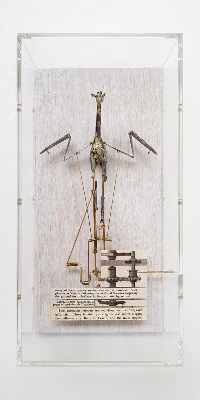 Jane Edden Pecora, 2019