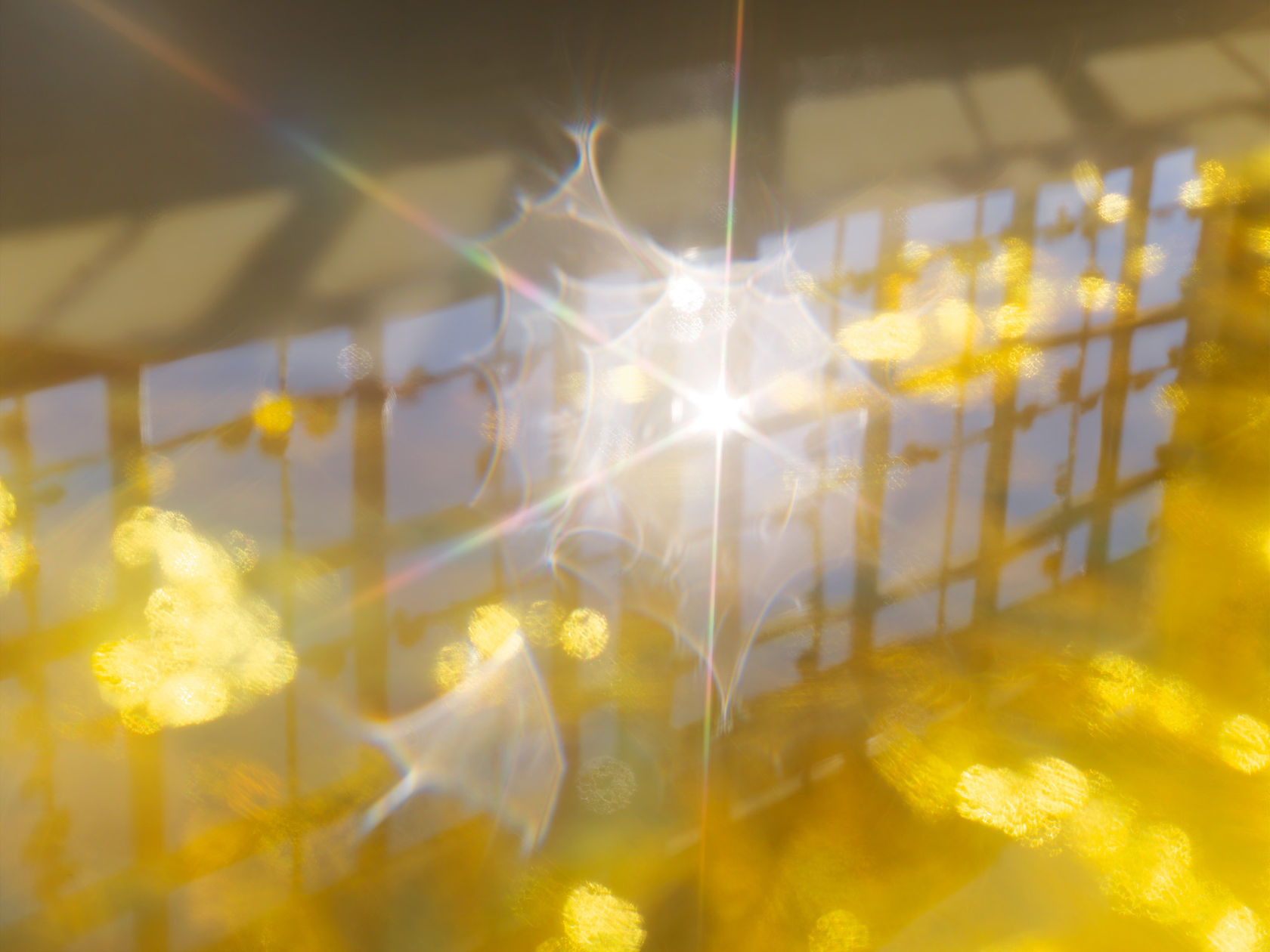 Mona Kuhn, AD7517, 2018