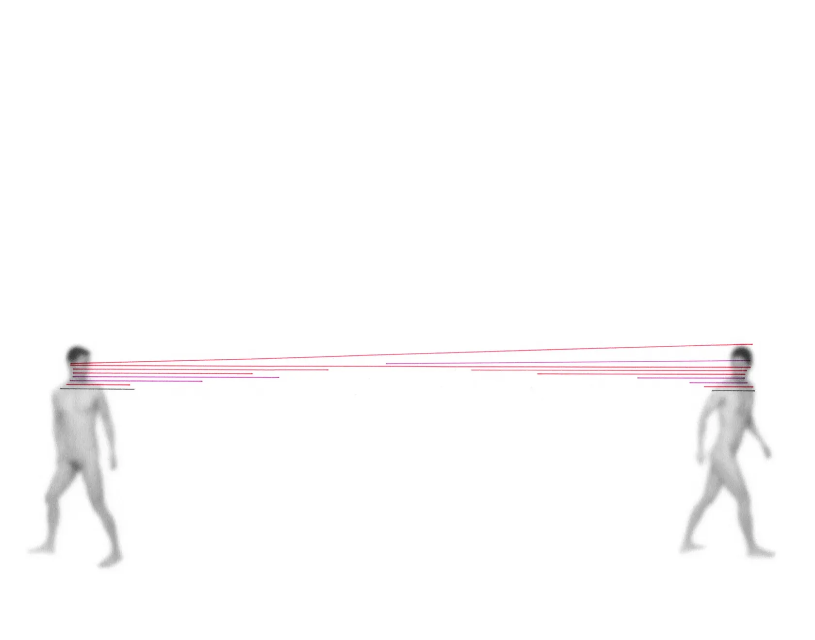 Shen Wei, Pull, 2013