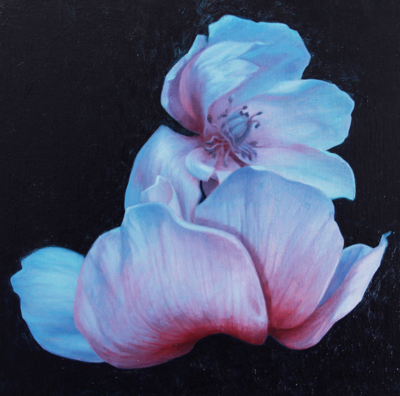 Aleah Chapin Blossom #2, 2020