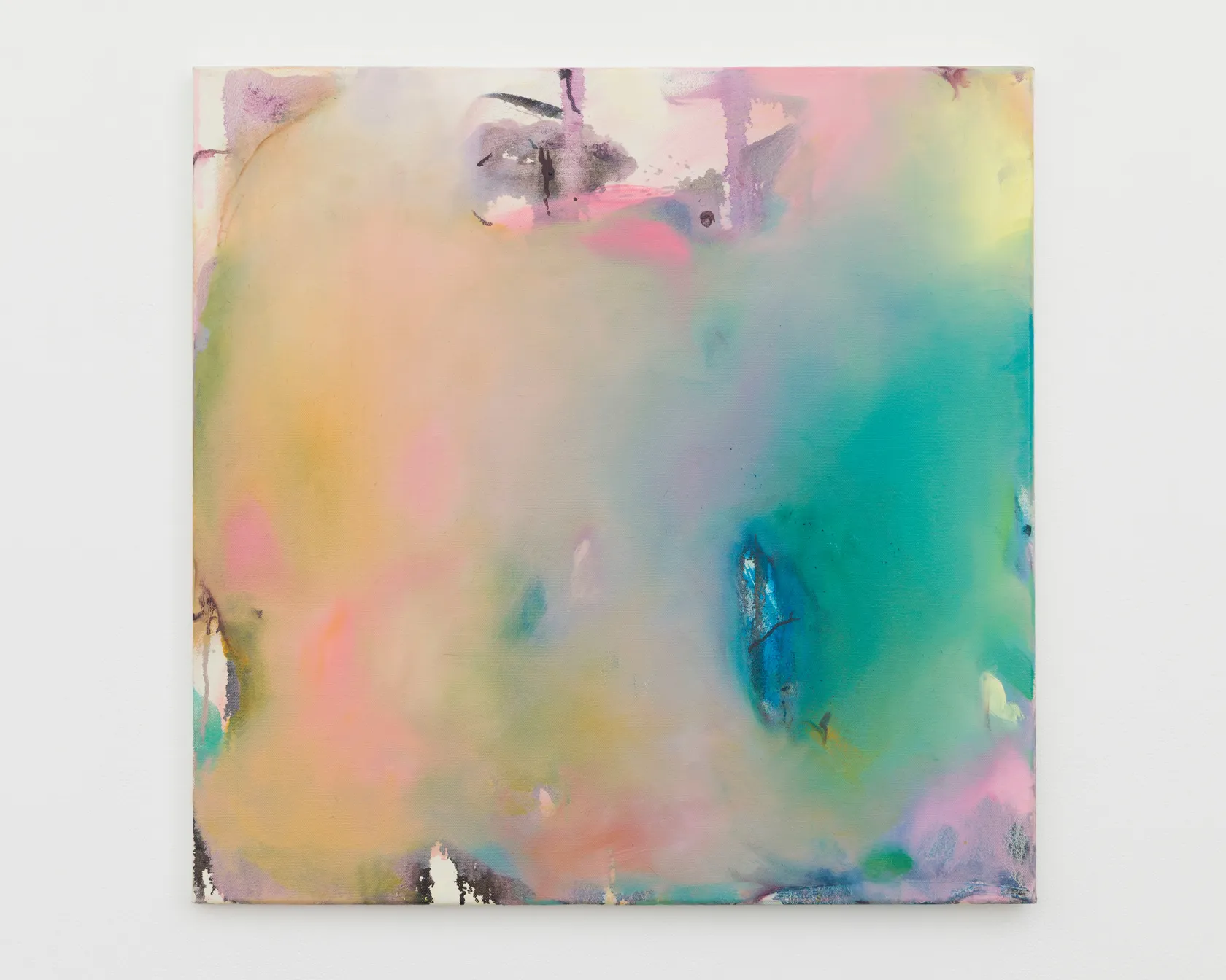 Anthony Daley Delate IV, 2020