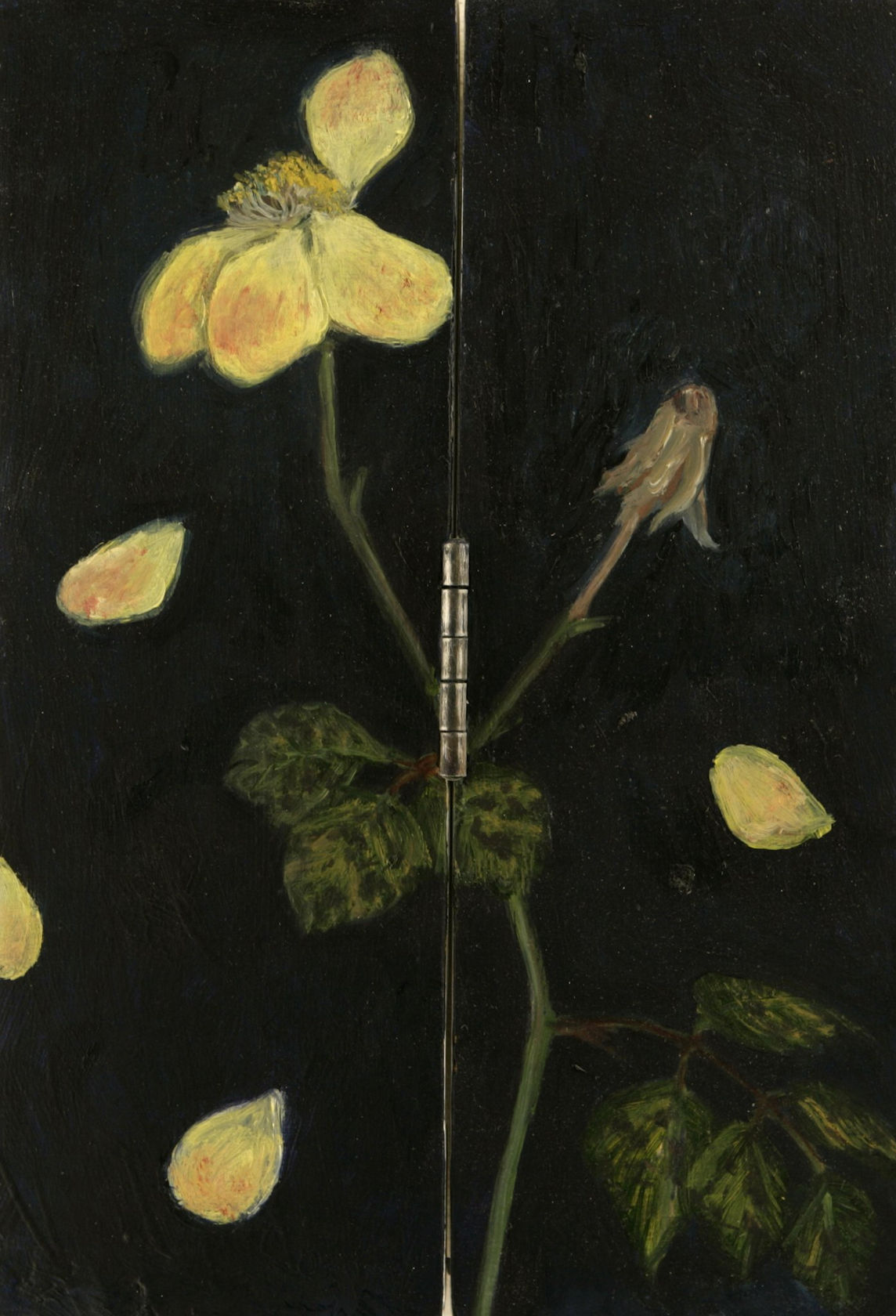 Jiro Osuga Rose, 2005
