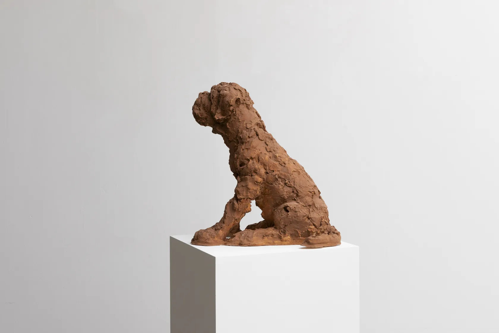 Nicola Hicks Puppy, 2021