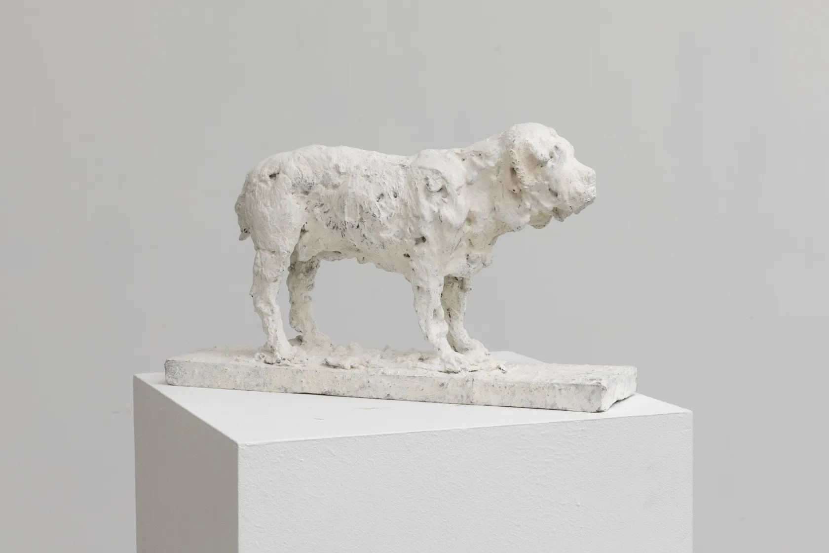 Nicola Hicks, Plato 1, 2019