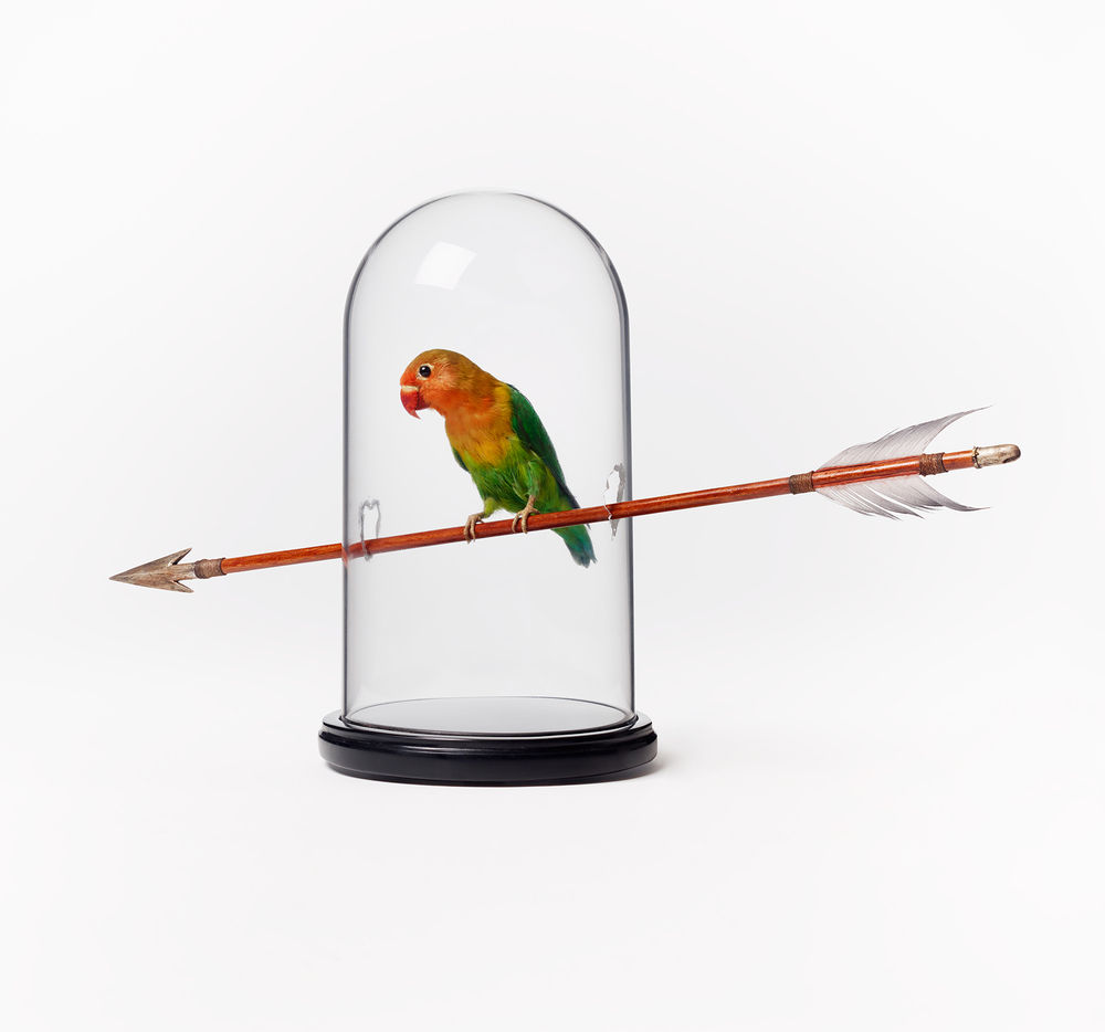 Nancy Fouts Bird Arrow, 5