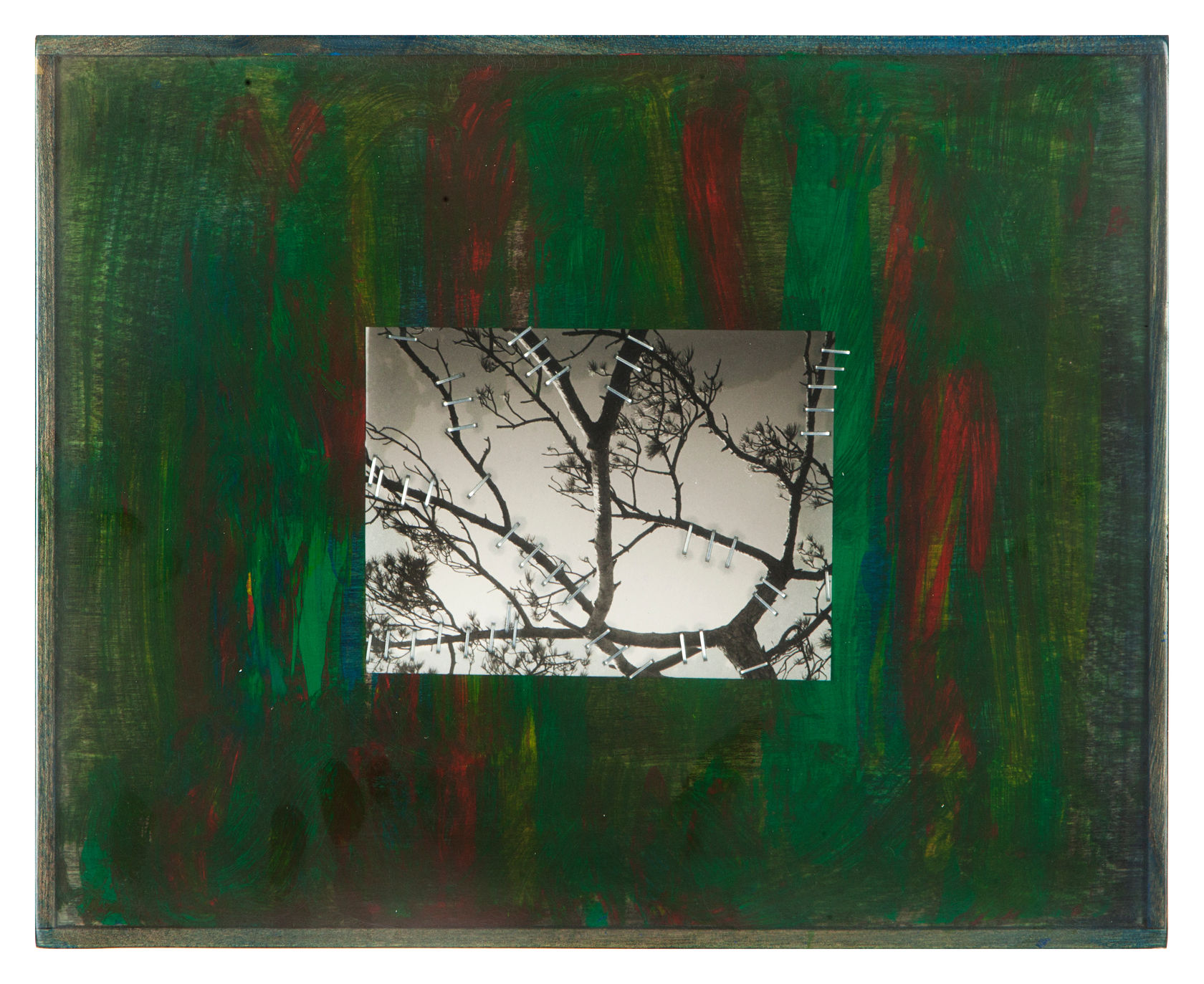 Birdhead SS-089-C013, 2019