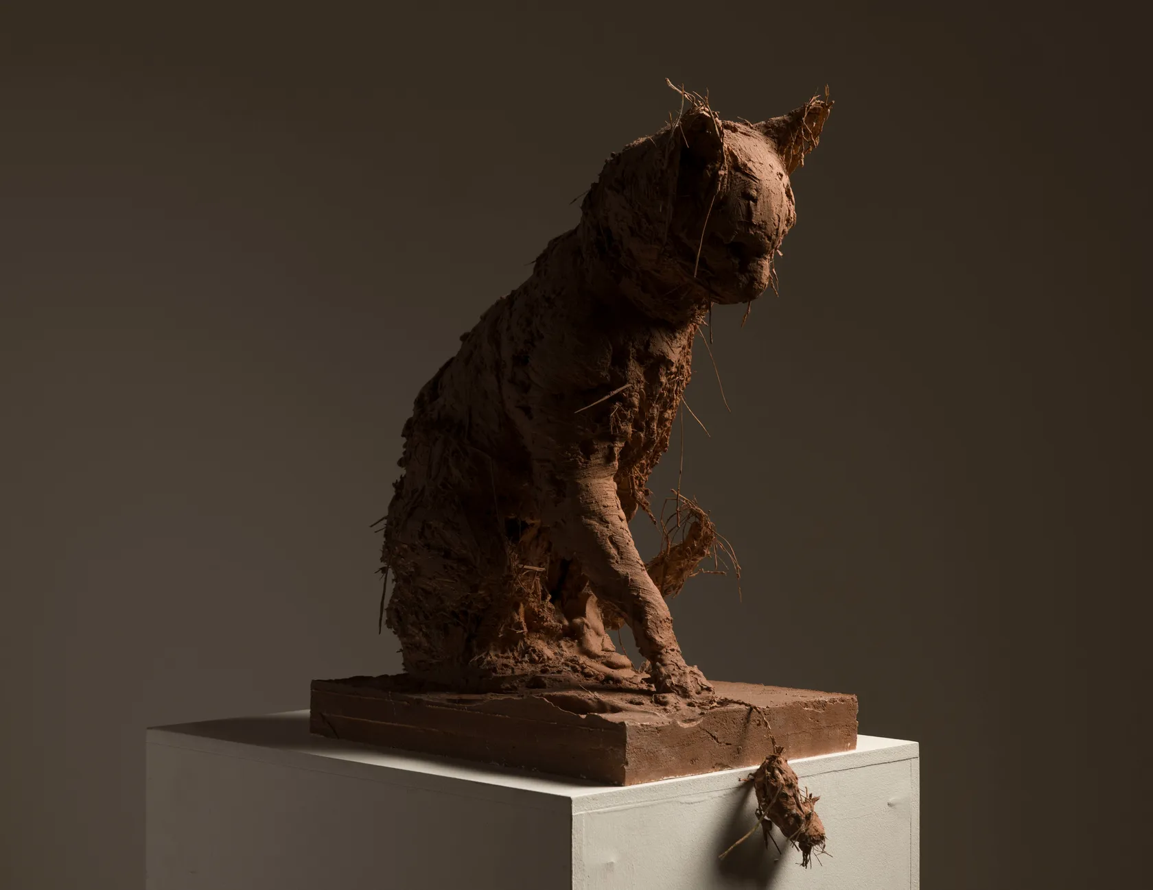 Nicola Hicks, Feral Beryl, 2024