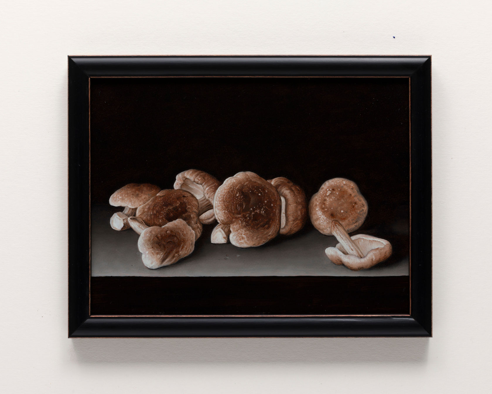 John Stark Shiitake Mushrooms, 2023