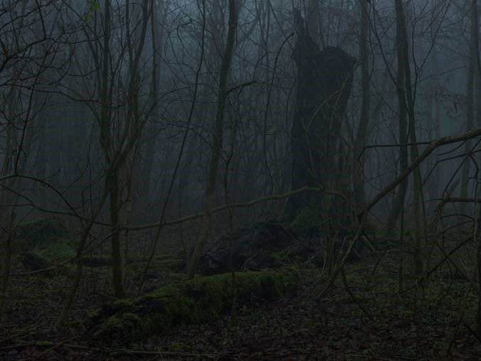 Simon Roberts Untitled #2, The Weeds and the Wilderness, 2018