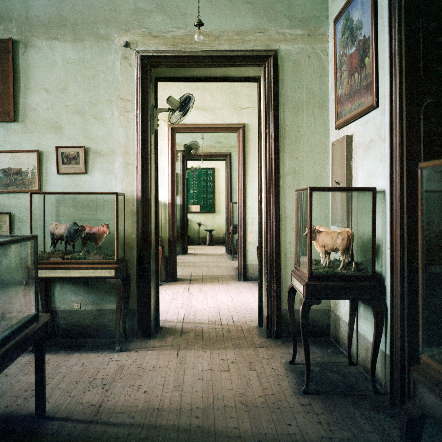 Jason Larkin Agricultural Museum #3 (Cairo), 2009