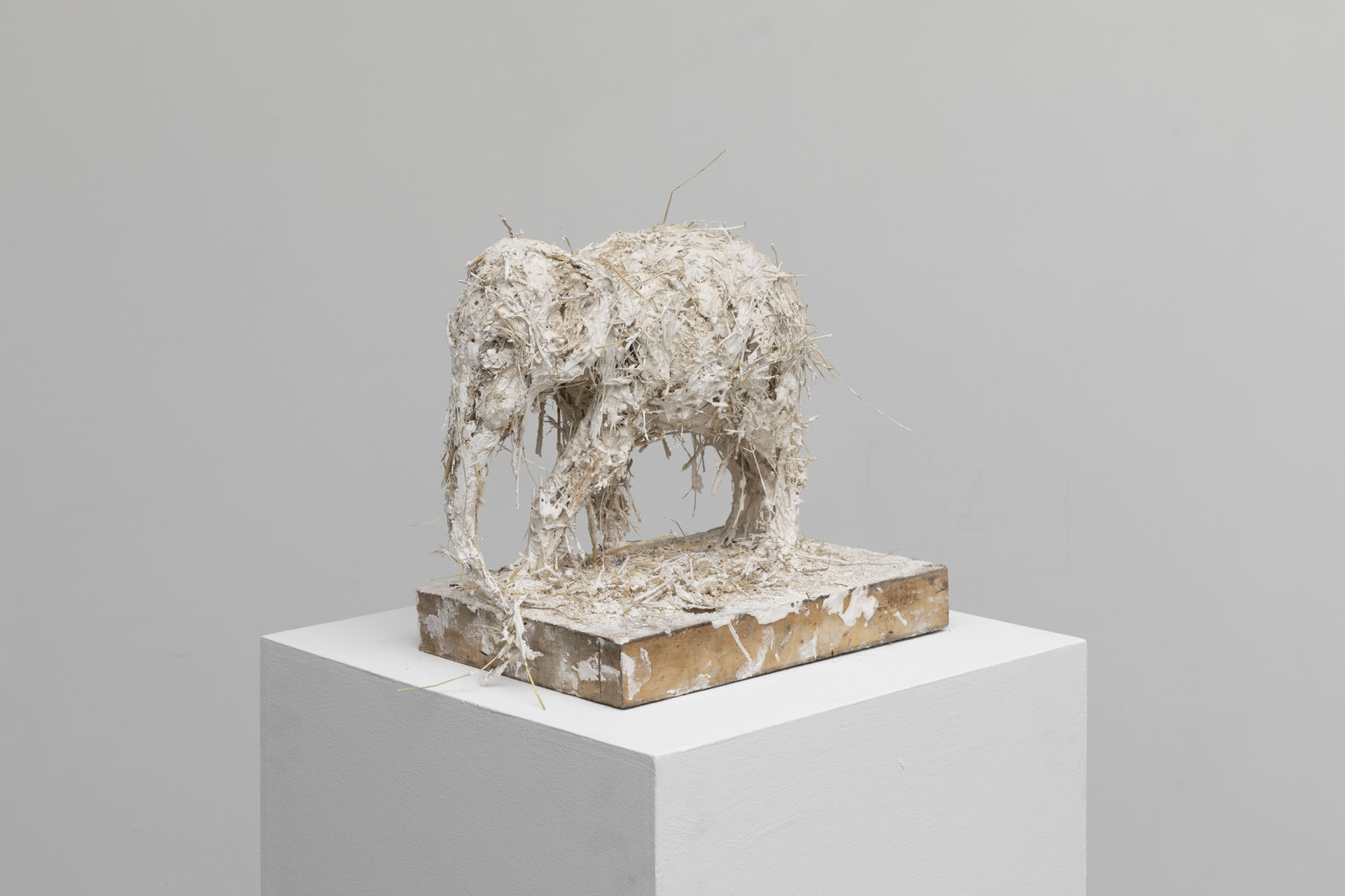 Nicola Hicks Elephant, 2019