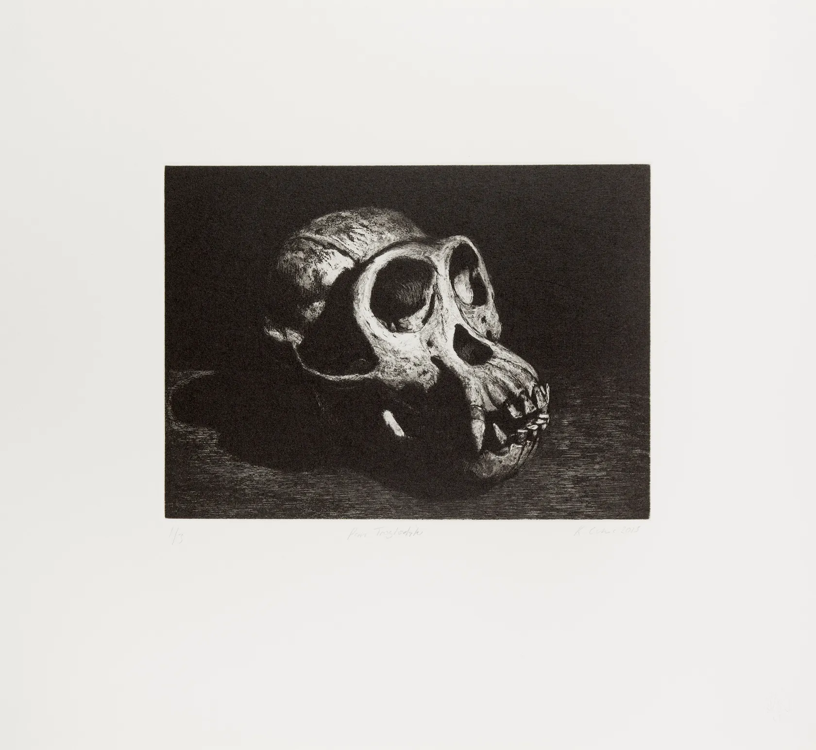 Ken Currie, Pan Troglodytes, 2015