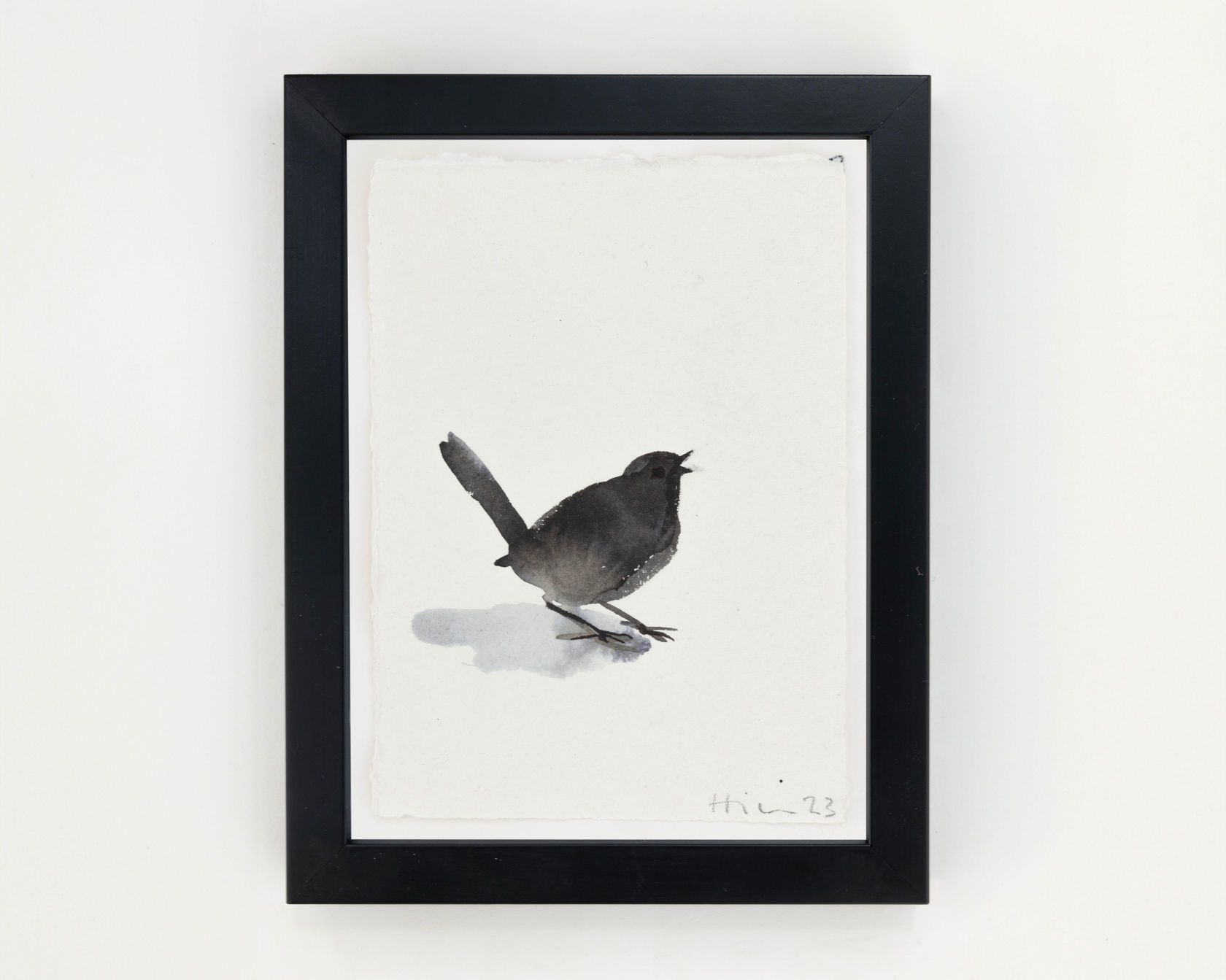 Nicola Hicks Robin, 2023