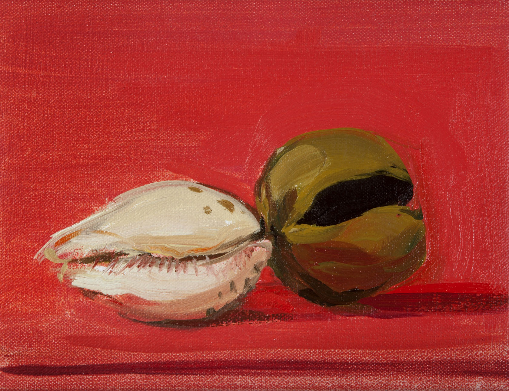 Laura Smith Shell with Bell, 2015